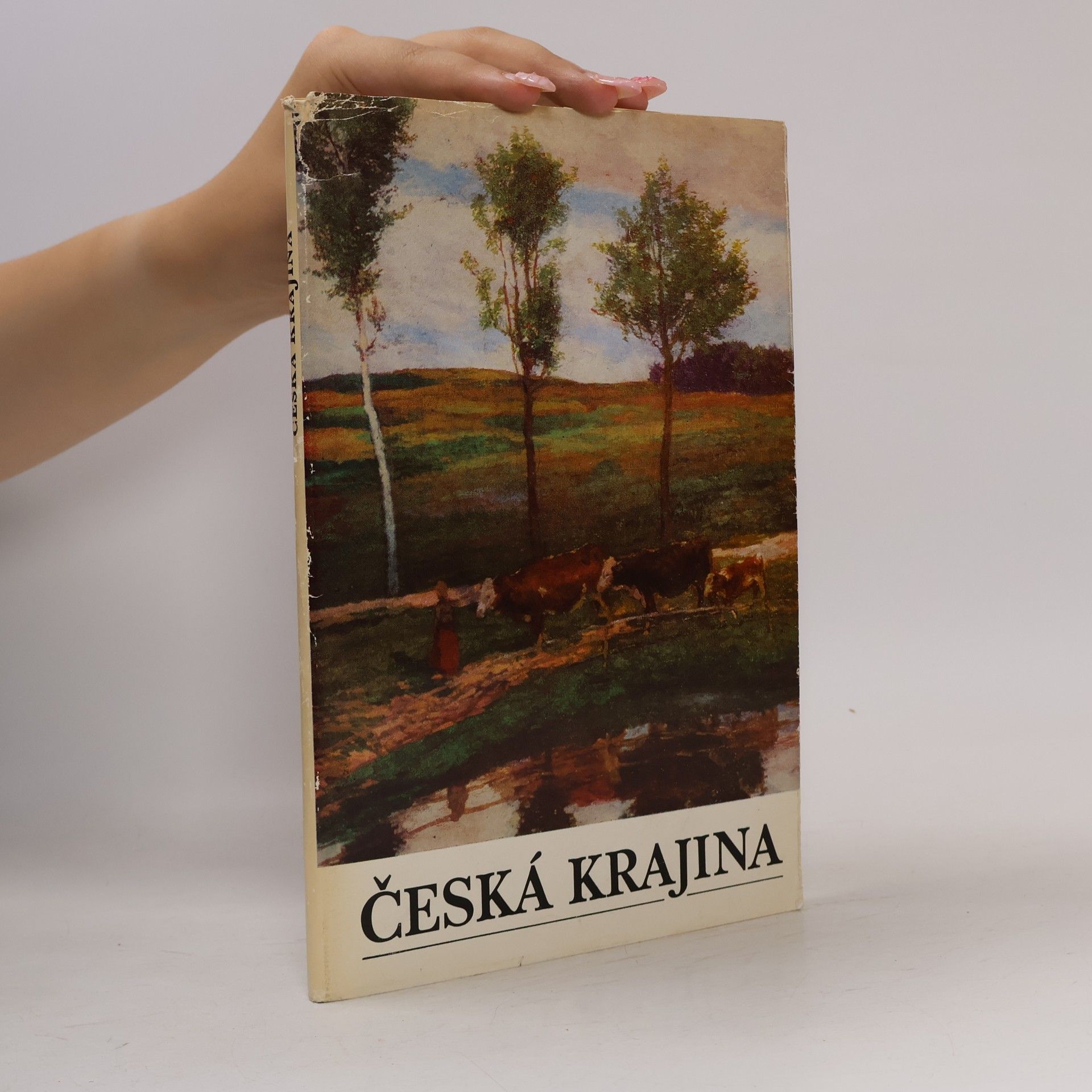 Autorenkollektiv Česká krajina
