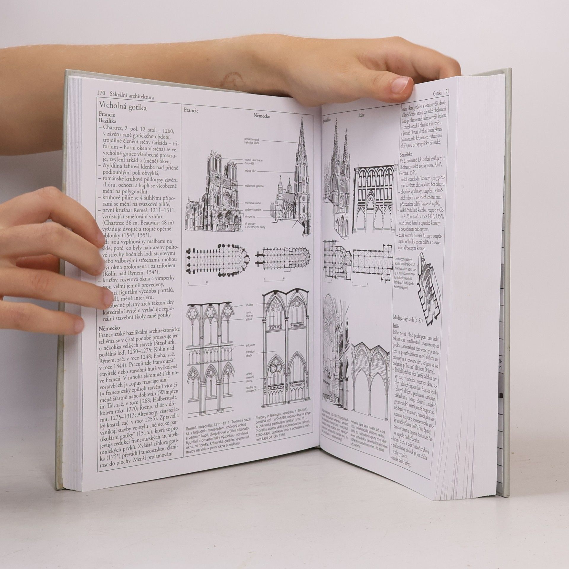 Wilfried Koch Evropská architektura. Encyklopedie evropské architektury od antiky po současnost