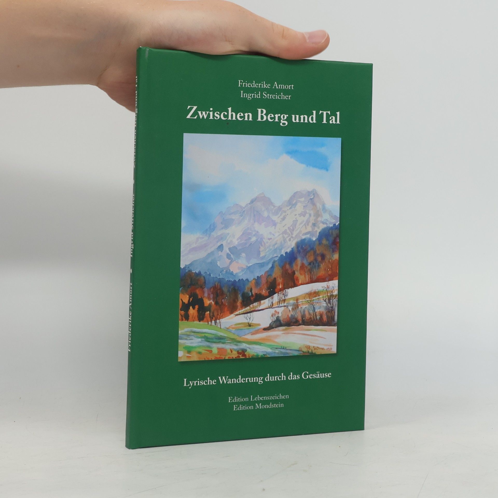 Autorenkollektiv Zwischen Berg und Tal