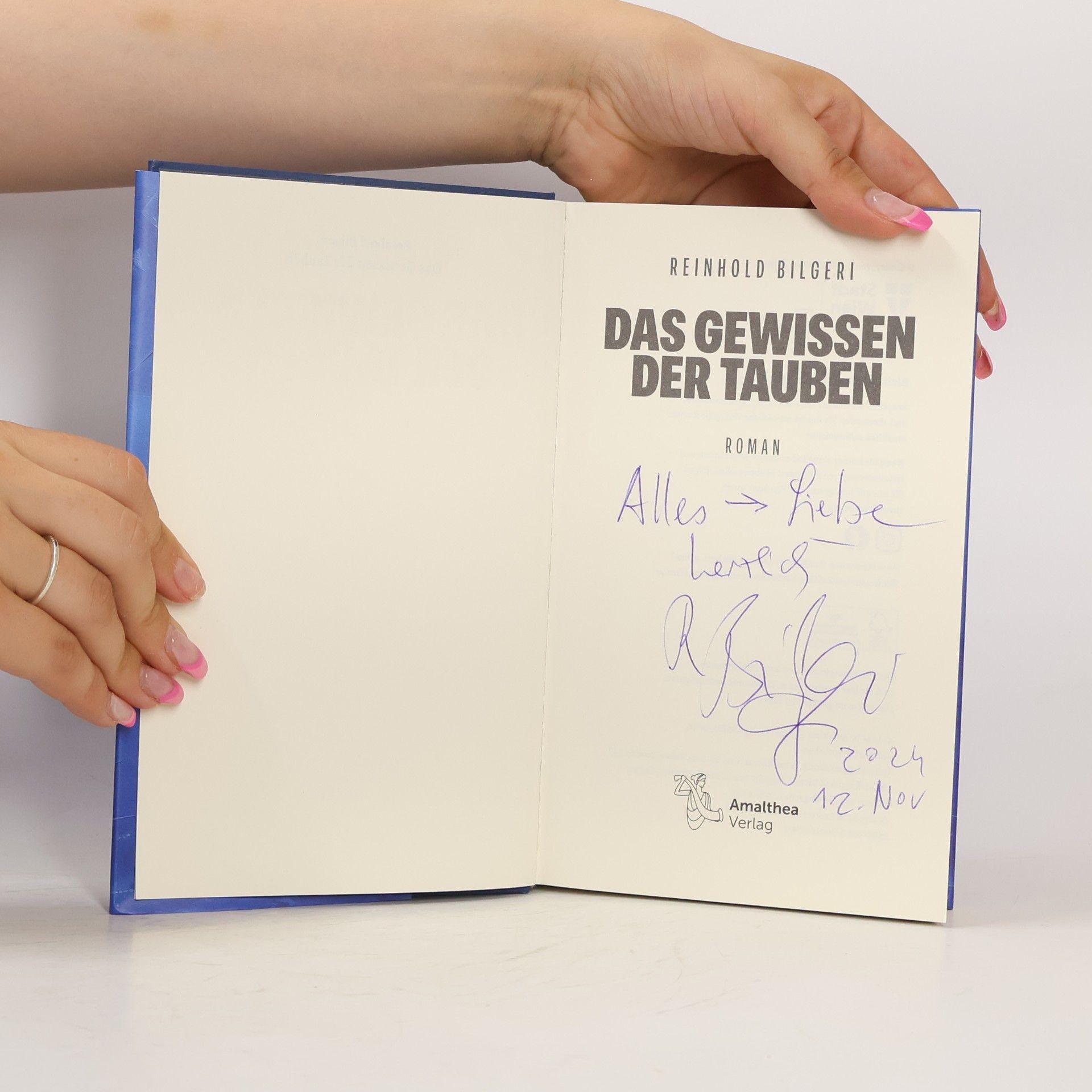 Reinhold Bilgeri Das Gewissen der Tauben