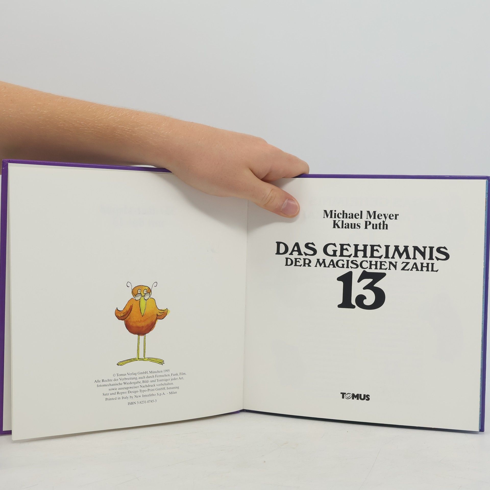 Michael Meyer Das Geheimnis der magischen Zahl 13