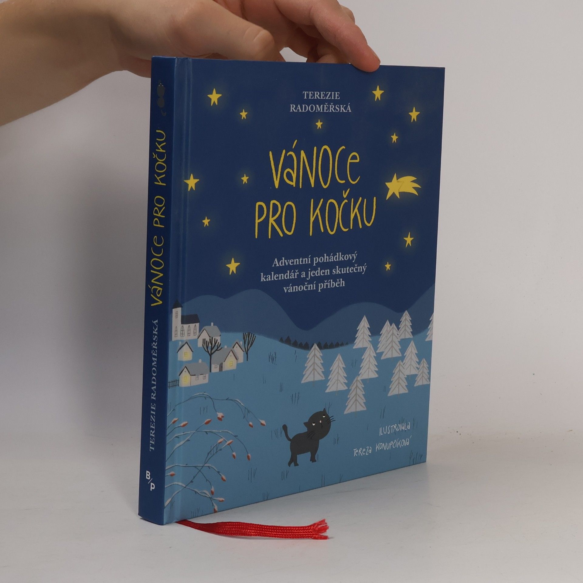 Terezie Radoměřská Vánoce pro kočku