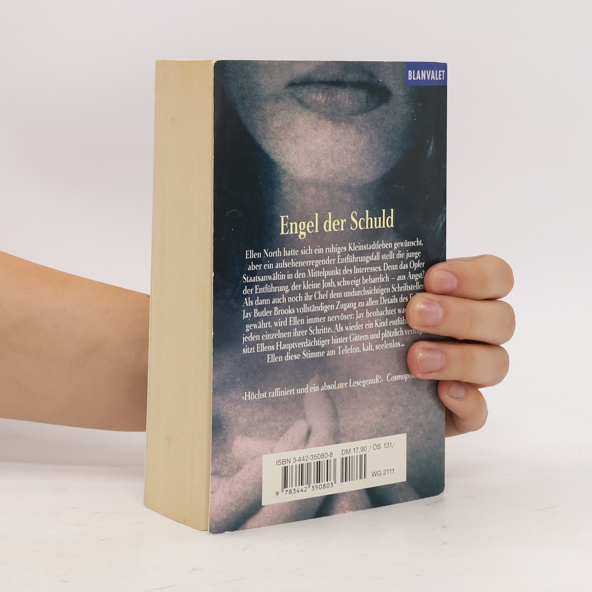 Tami Hoag Engel der Schuld