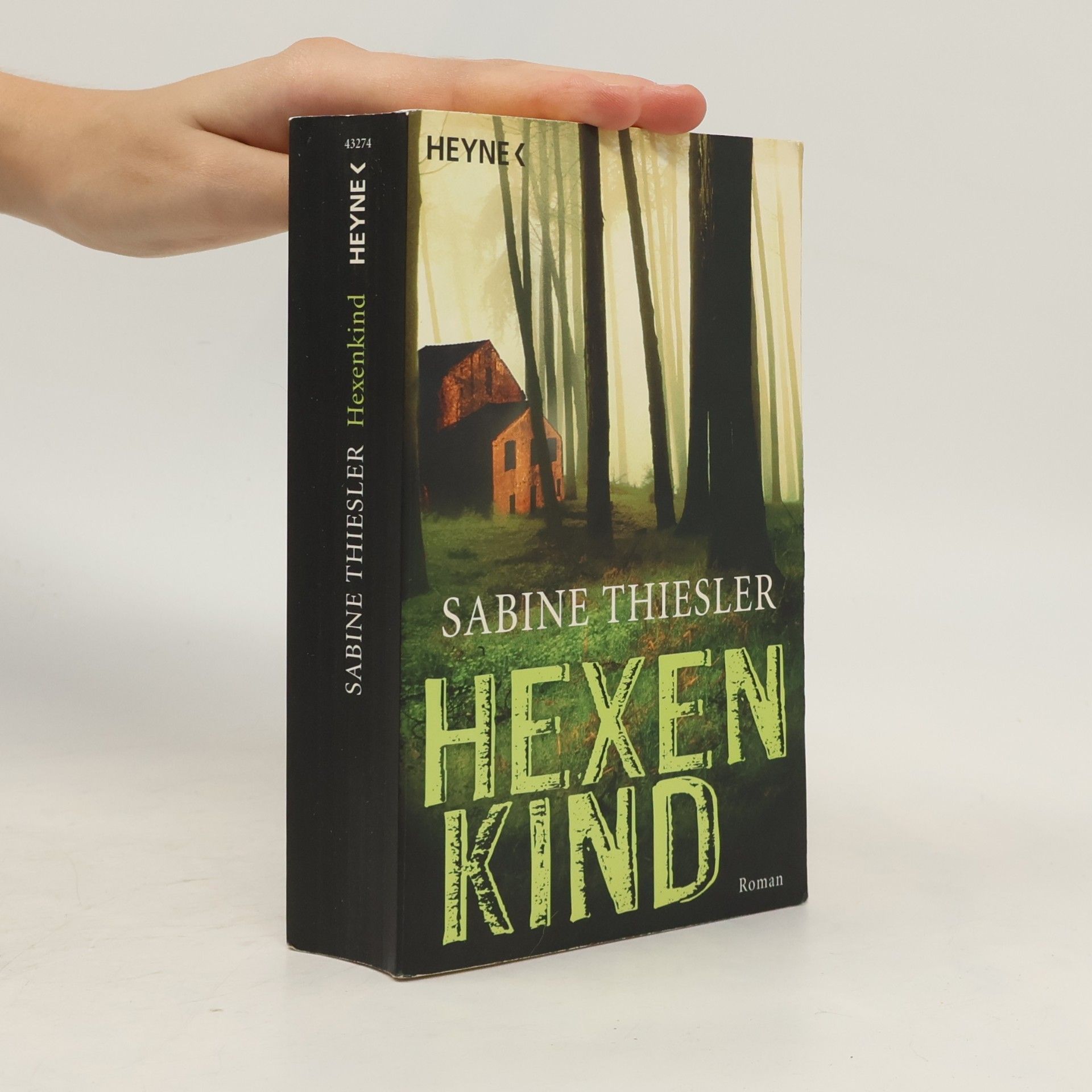 Sabine Thiesler Hexenkind - Roman
