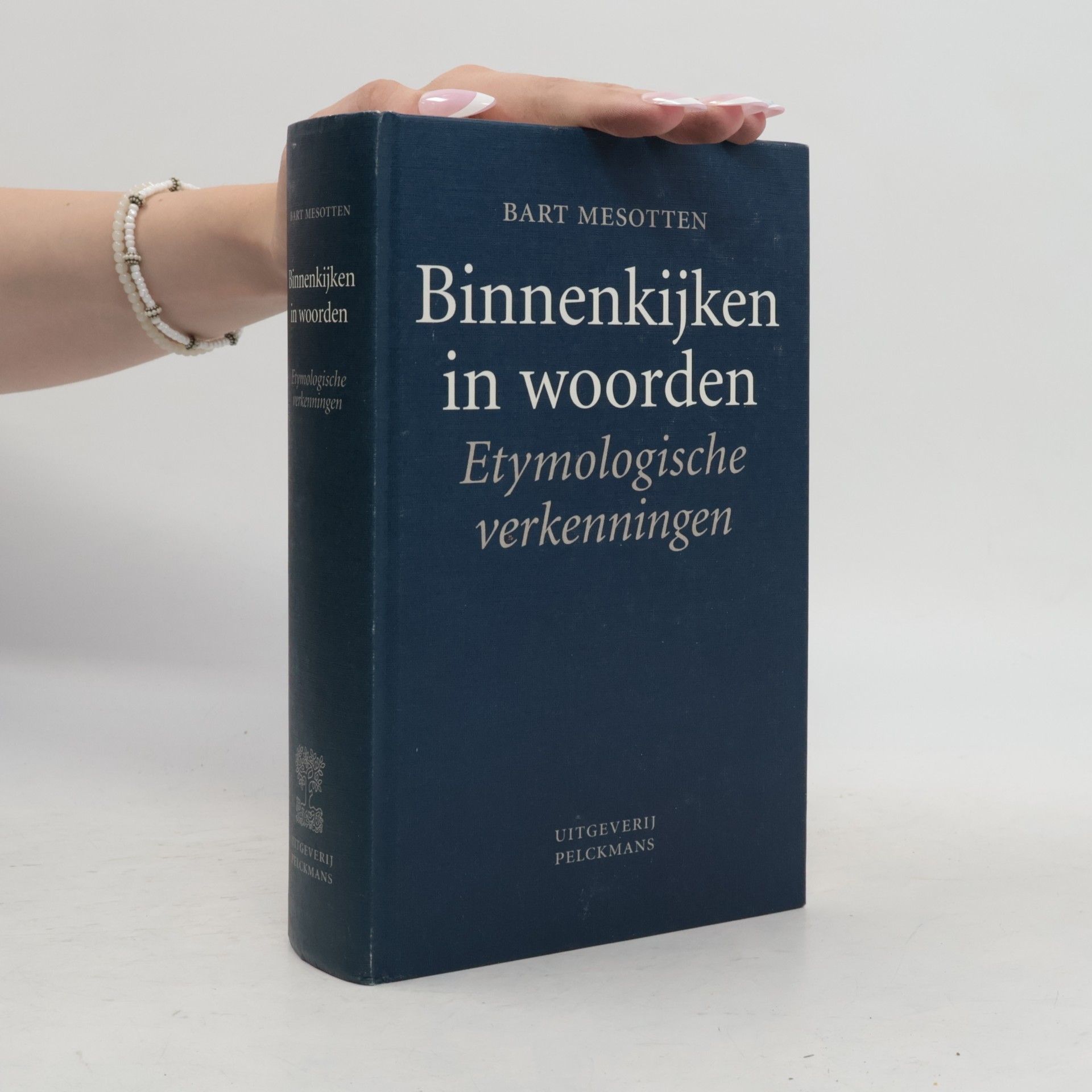 Bart Mesotten Binnenkijken in woorden
