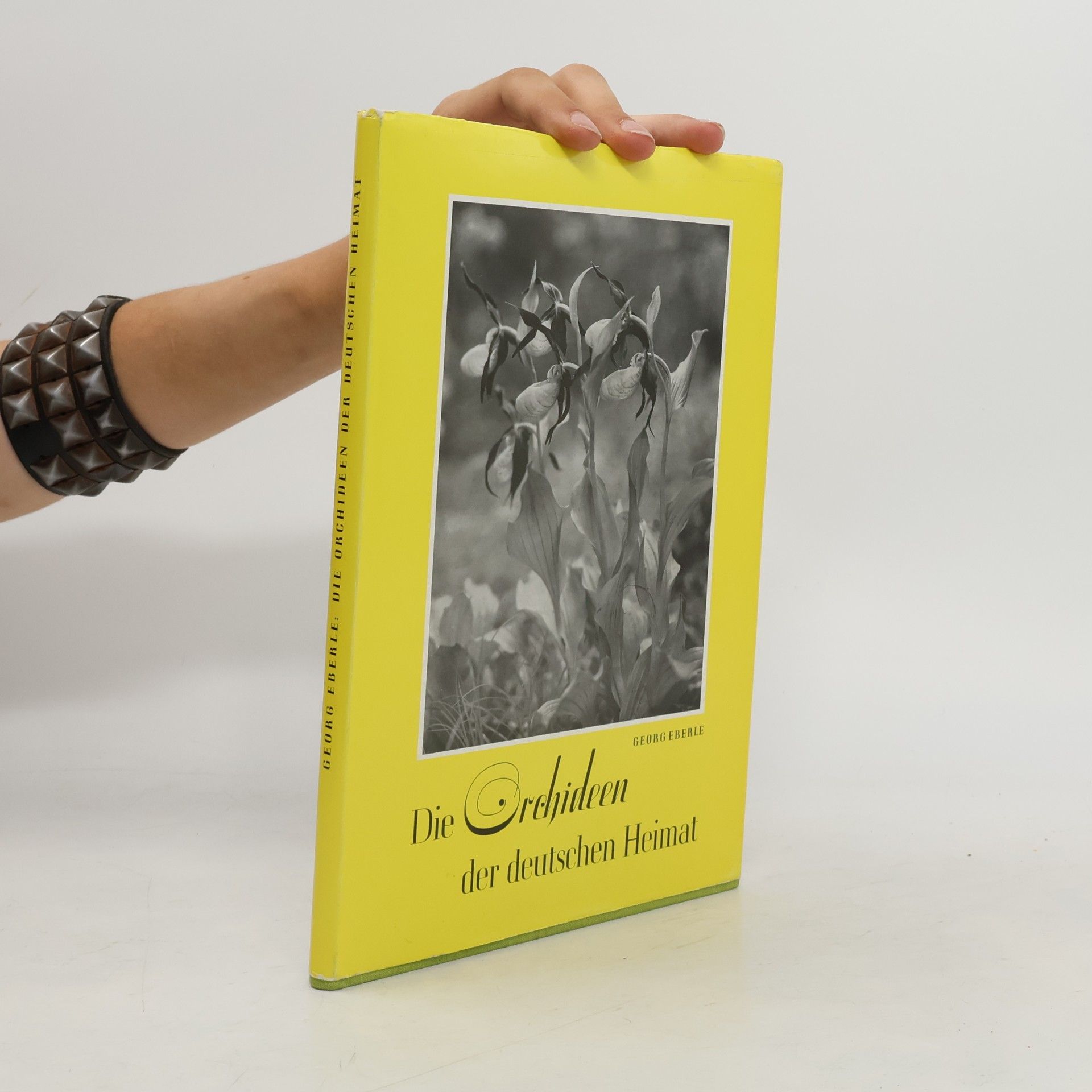 Die Orchideen der deutschen Heimat