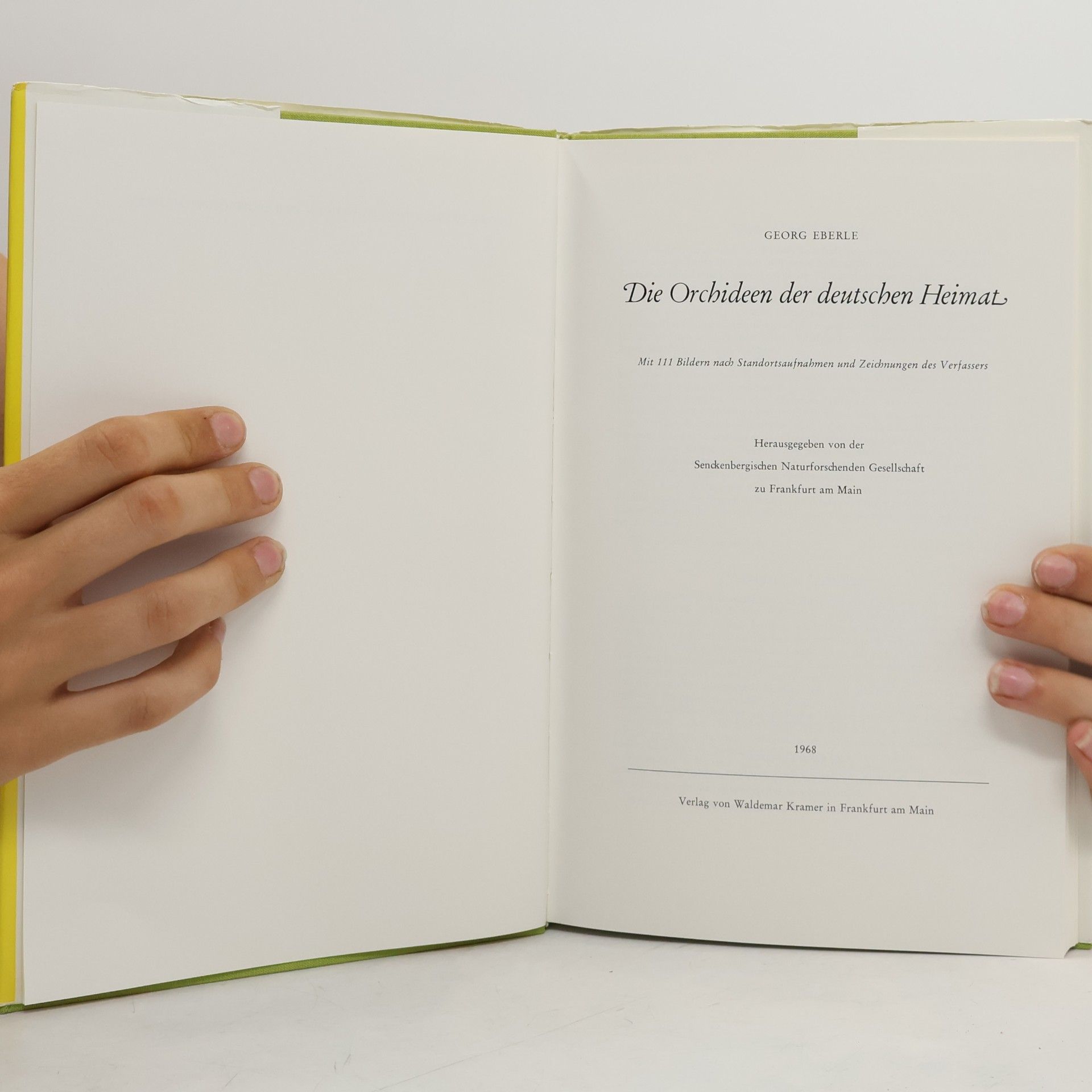 Georg Eberle Die Orchideen der deutschen Heimat