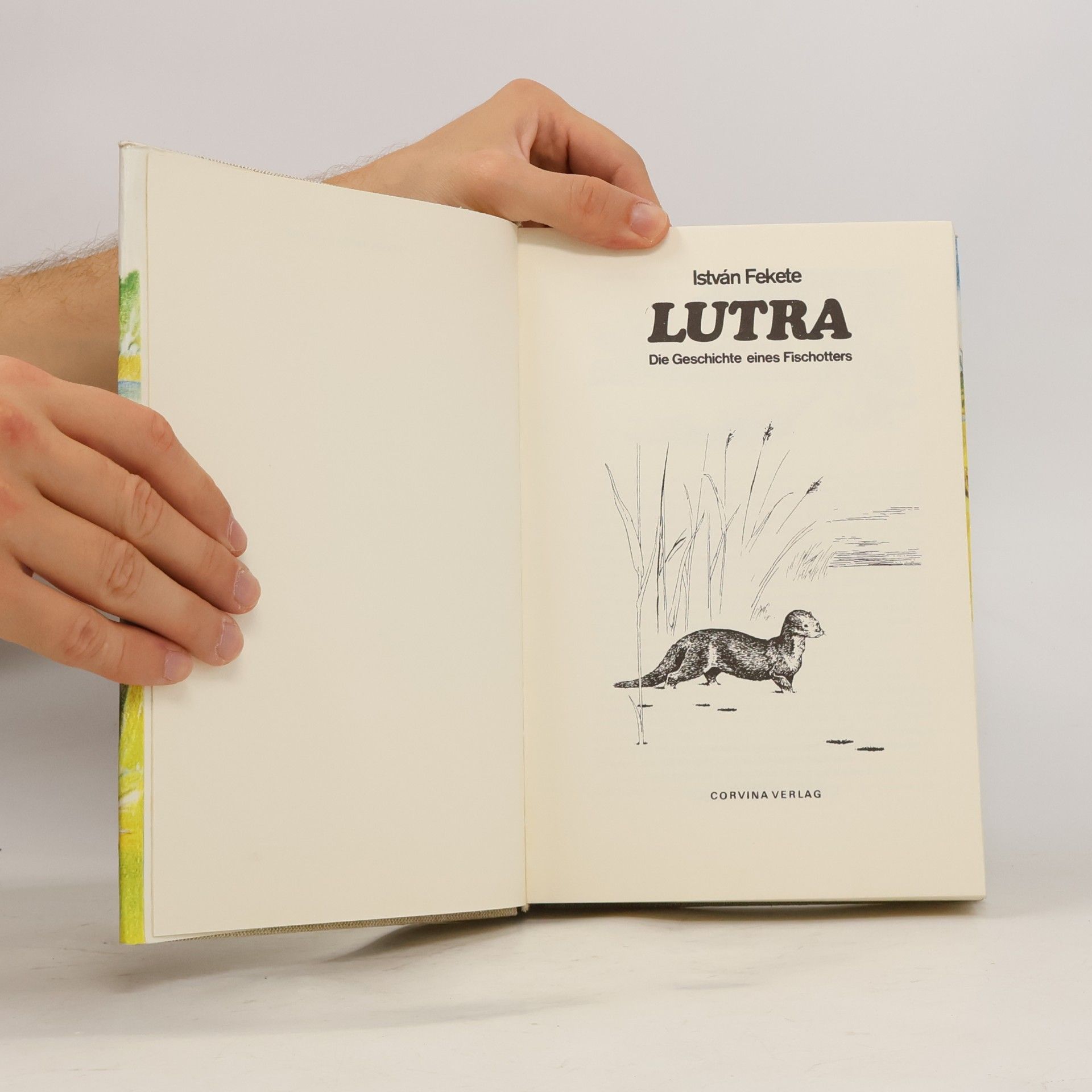 István Fekete Lutra