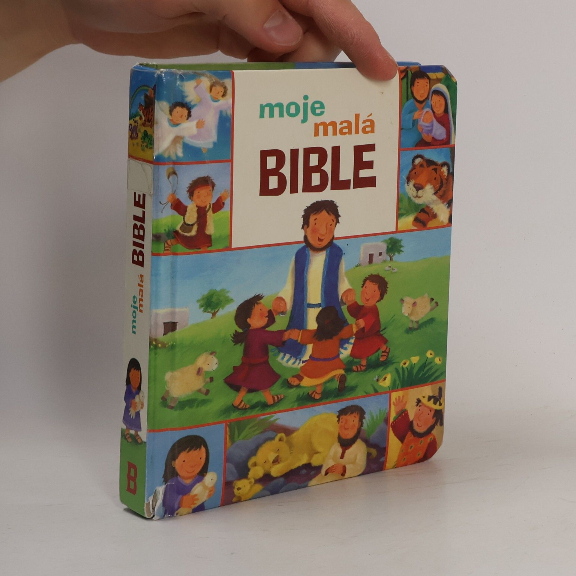 Christina Goodings Moje malá bible
