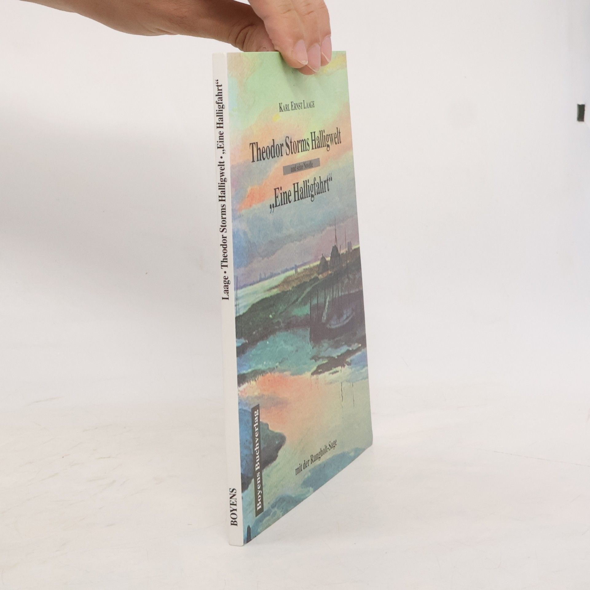 Karl Ernst Laage Theodor Storms Halligwelt und seine Novelle "Eine Halligfahrt"