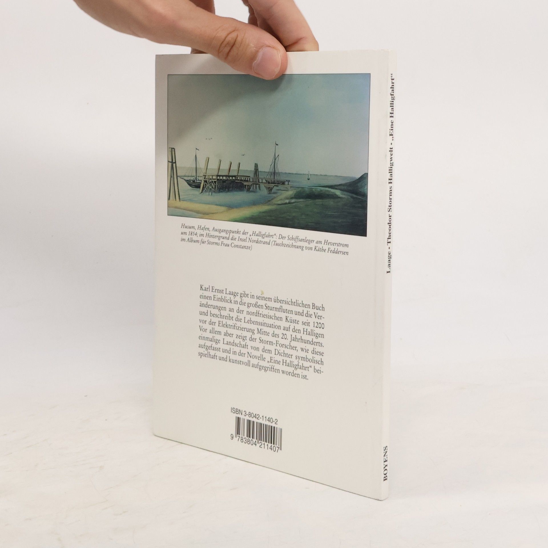 Karl Ernst Laage Theodor Storms Halligwelt und seine Novelle "Eine Halligfahrt"