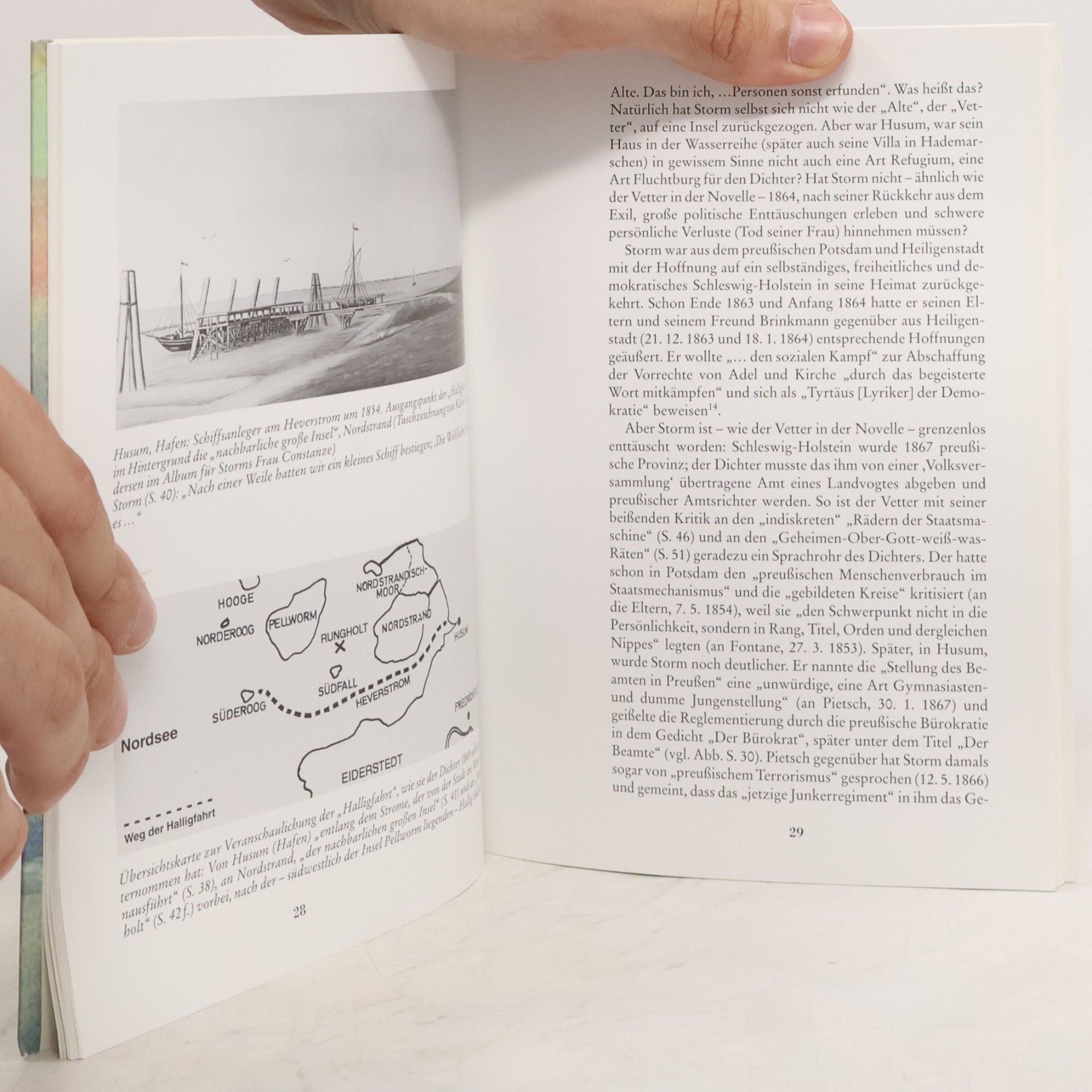 Karl Ernst Laage Theodor Storms Halligwelt und seine Novelle "Eine Halligfahrt"