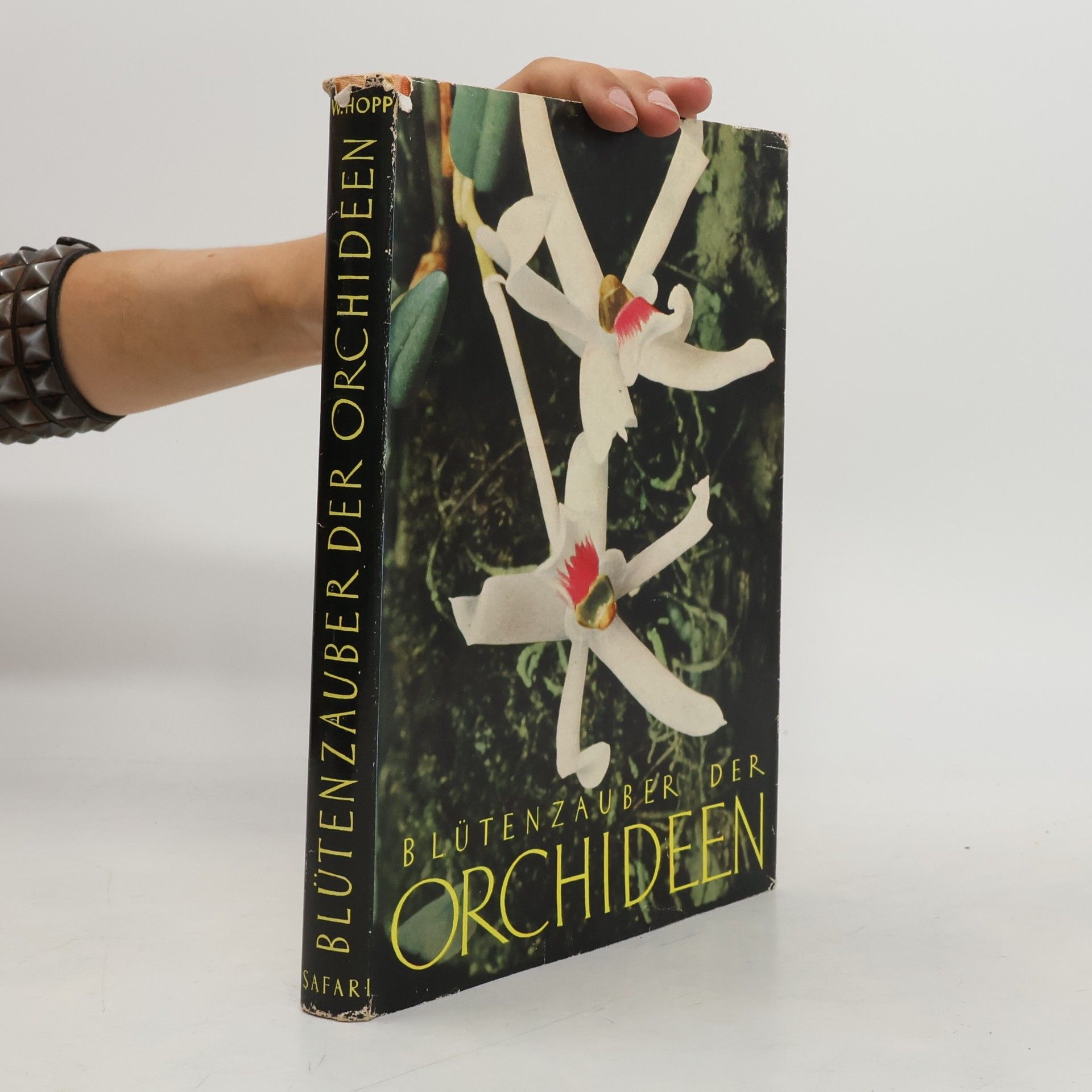 Werner Hopp Blütenzauber der Orchideen