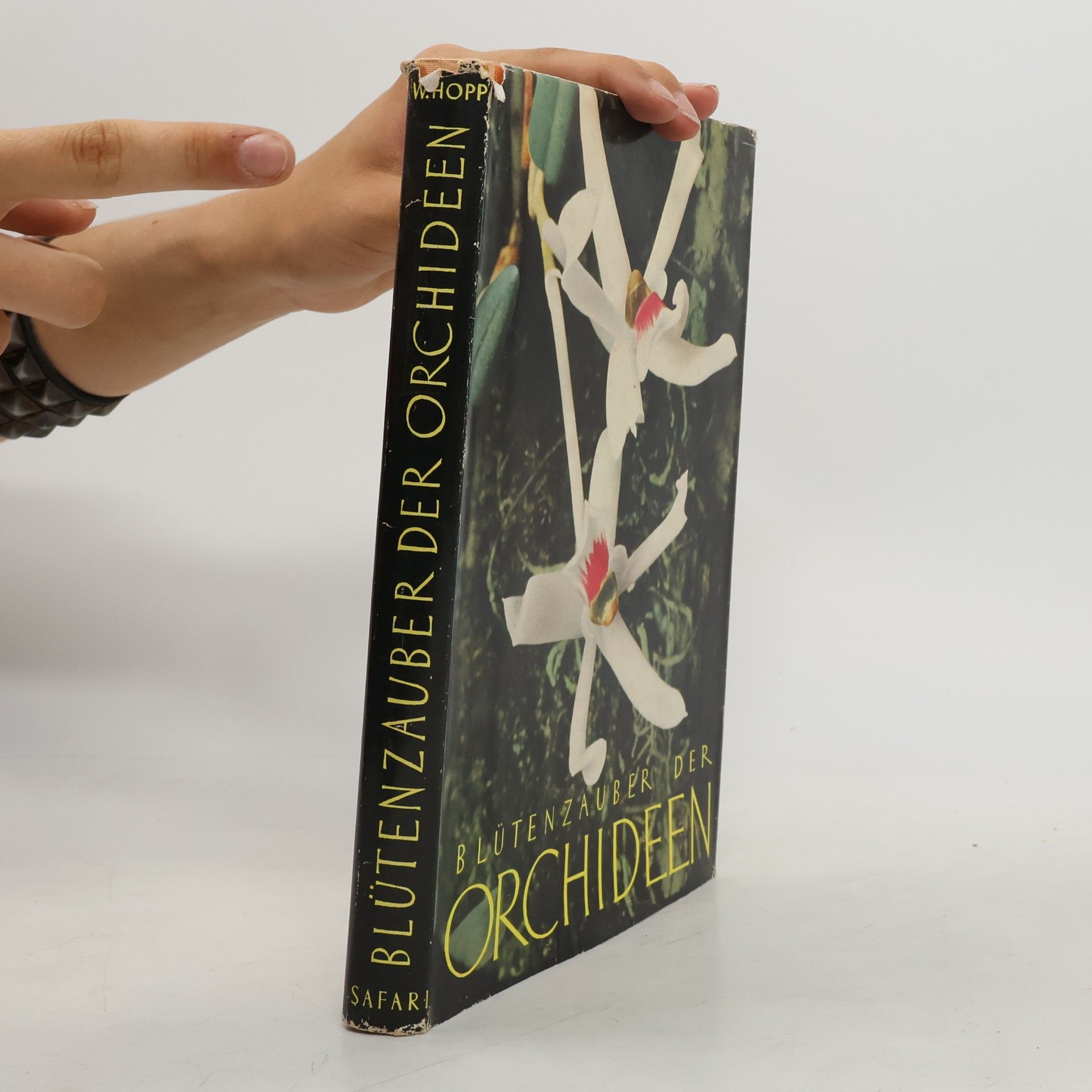 Werner Hopp Blütenzauber der Orchideen
