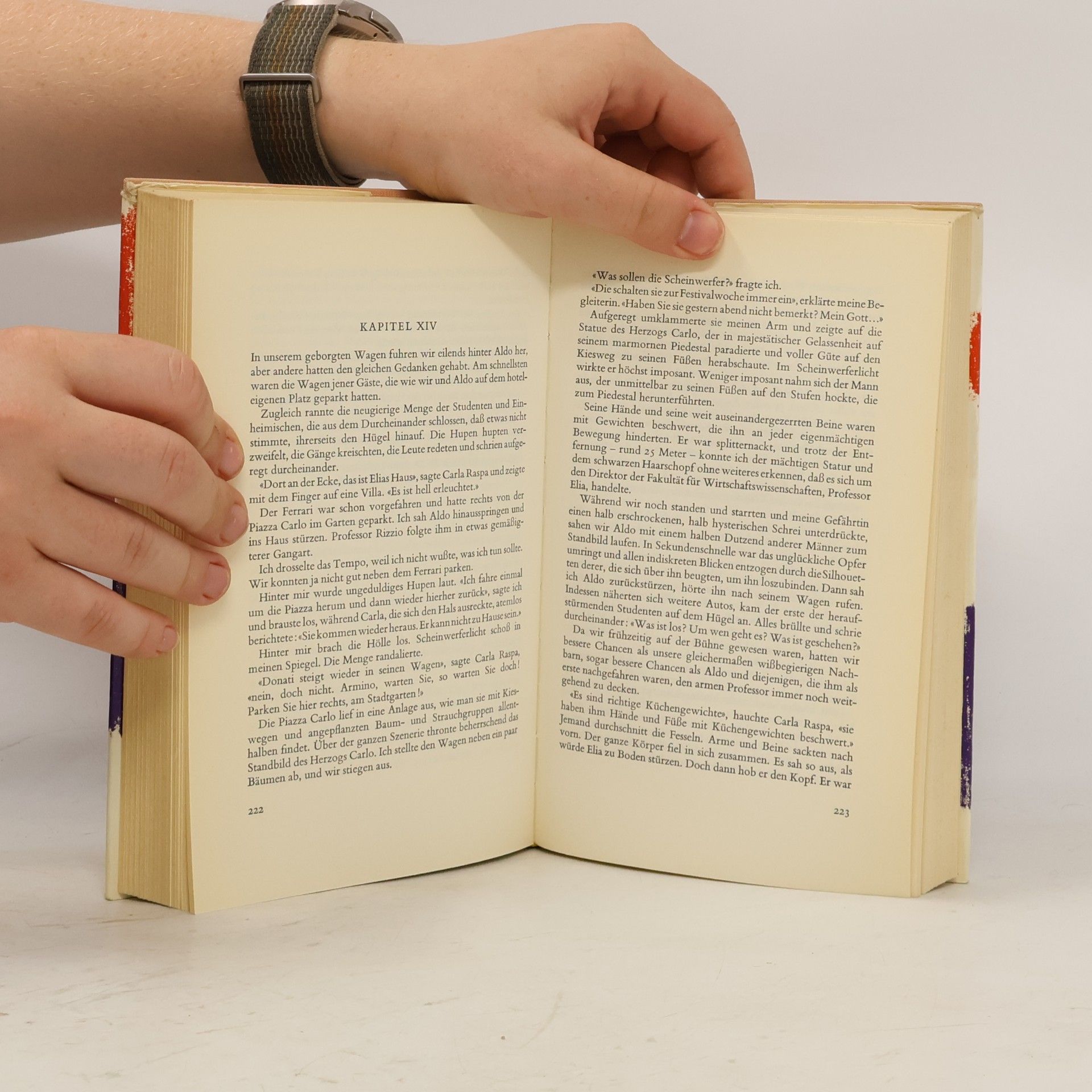 Daphne Du Maurier Das Geheimnis des Falken