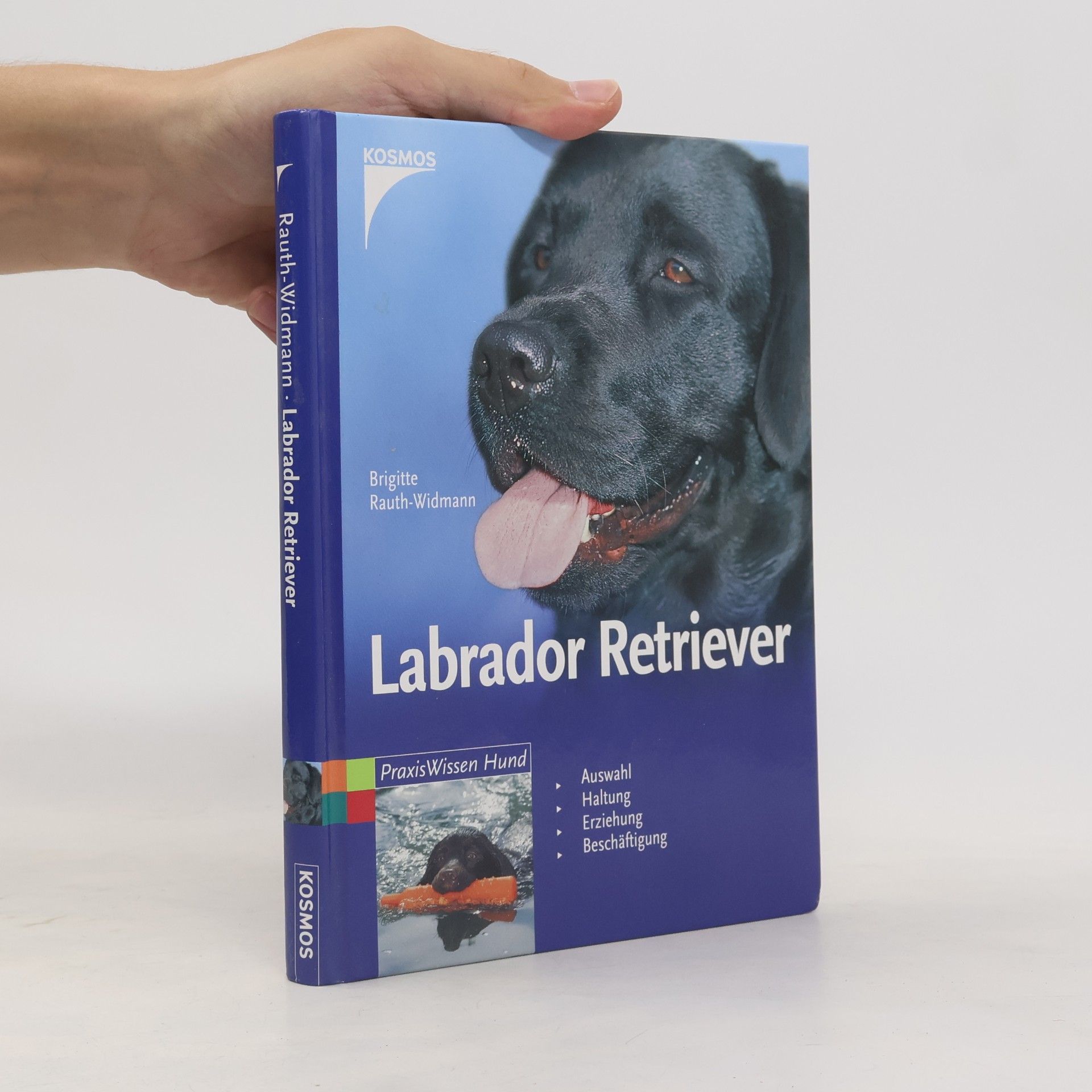 Labrador
