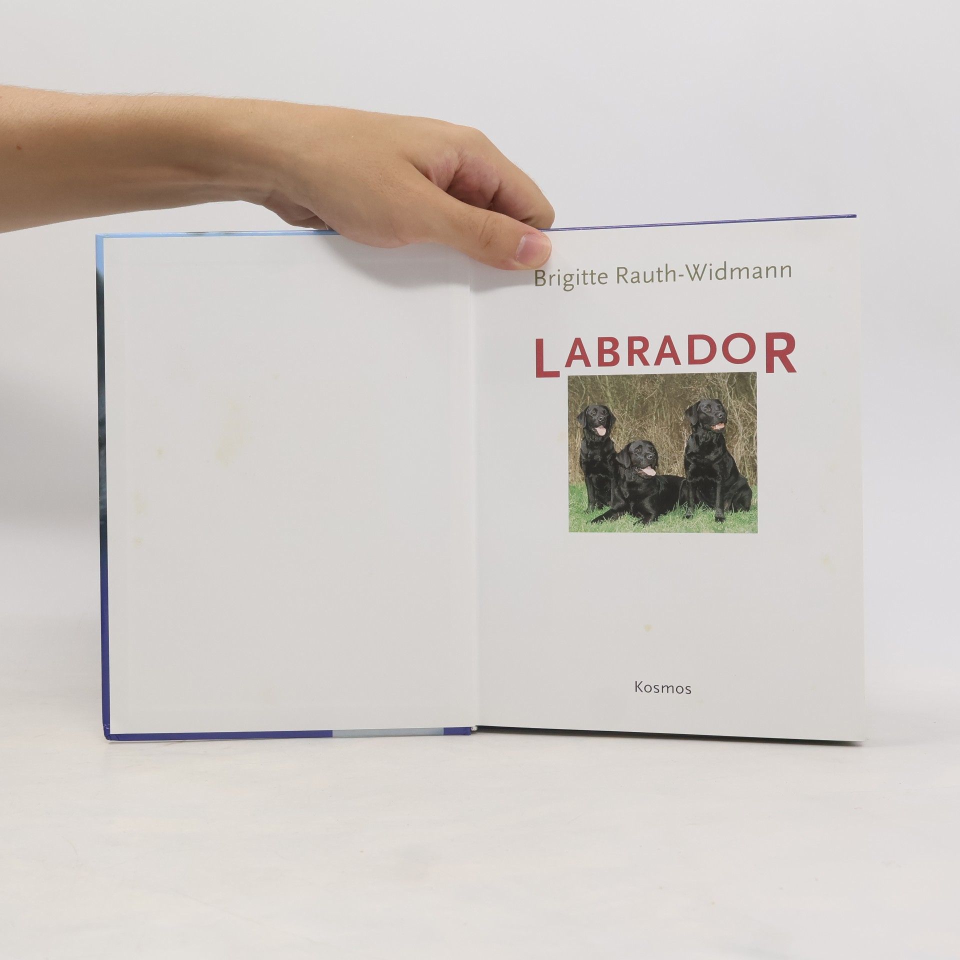 Brigitte Rauth-Widmann Labrador