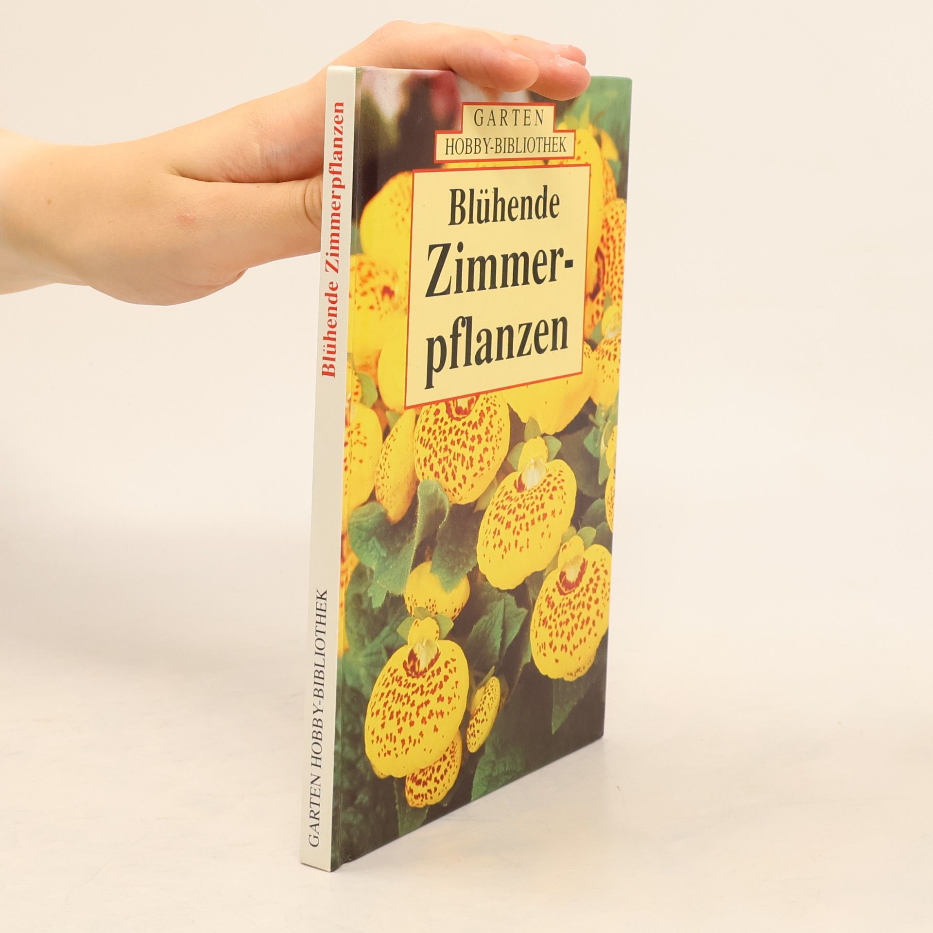 Blühende Zimmerpflanzen
