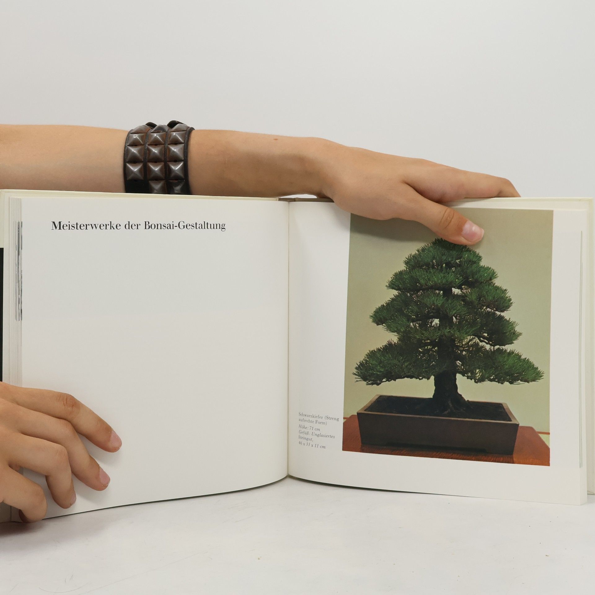 Nobukichi Koide Bonsai