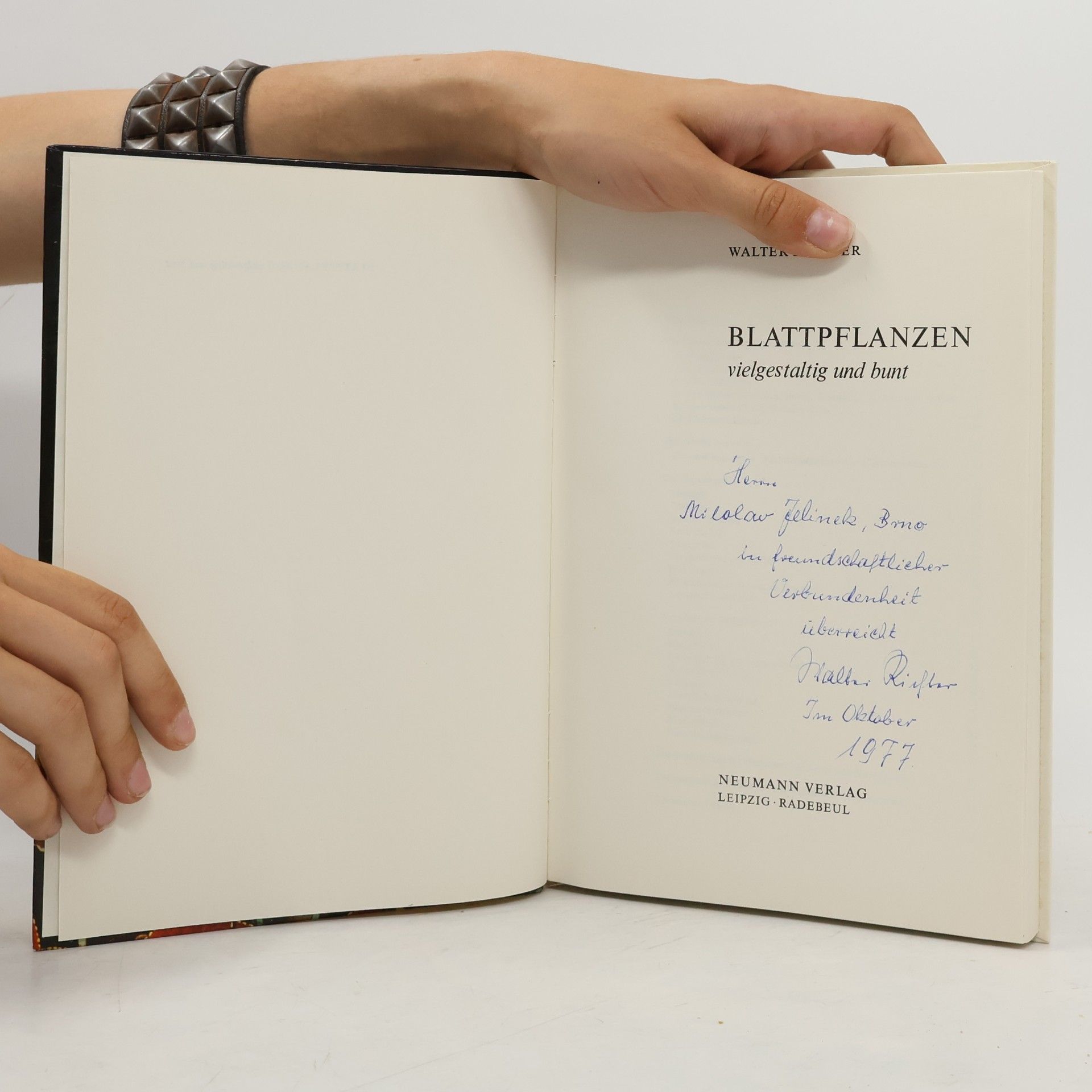 Walter Richter Blattpflanzen vielgestaltig und bunt