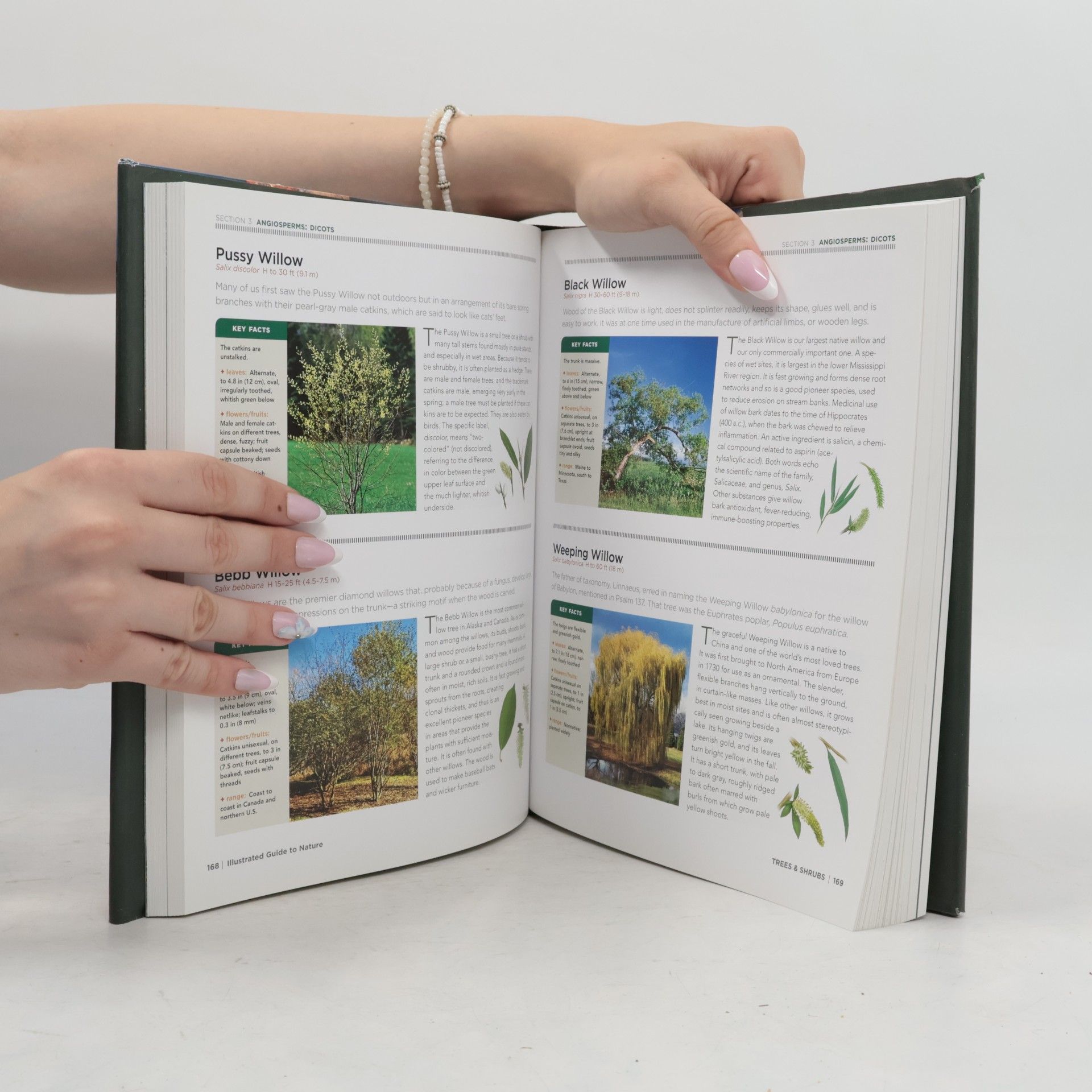 National Geographic Society (U.S.) National Geographic Illustrated Guide to Nature
