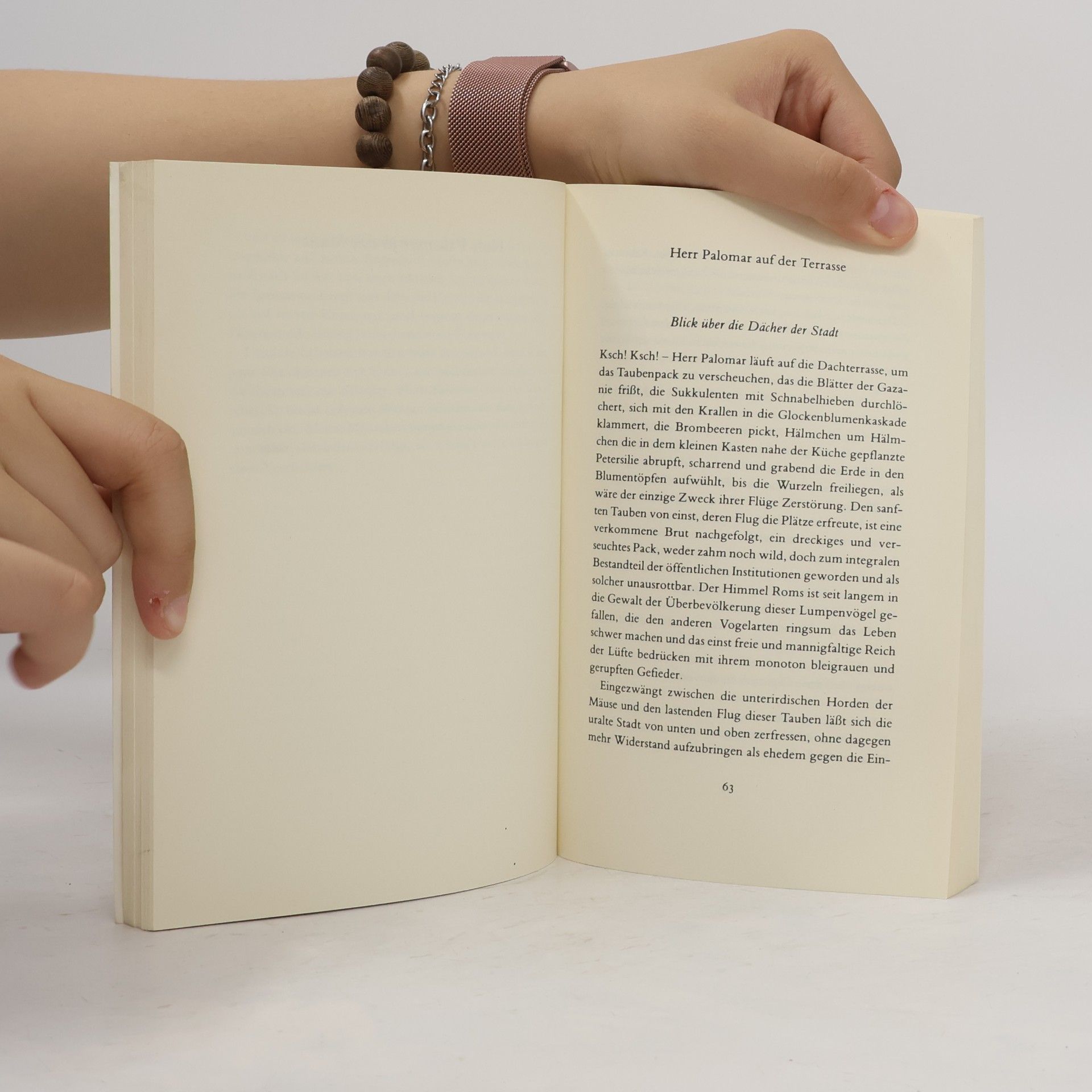 Italo Calvino Herr Palomar