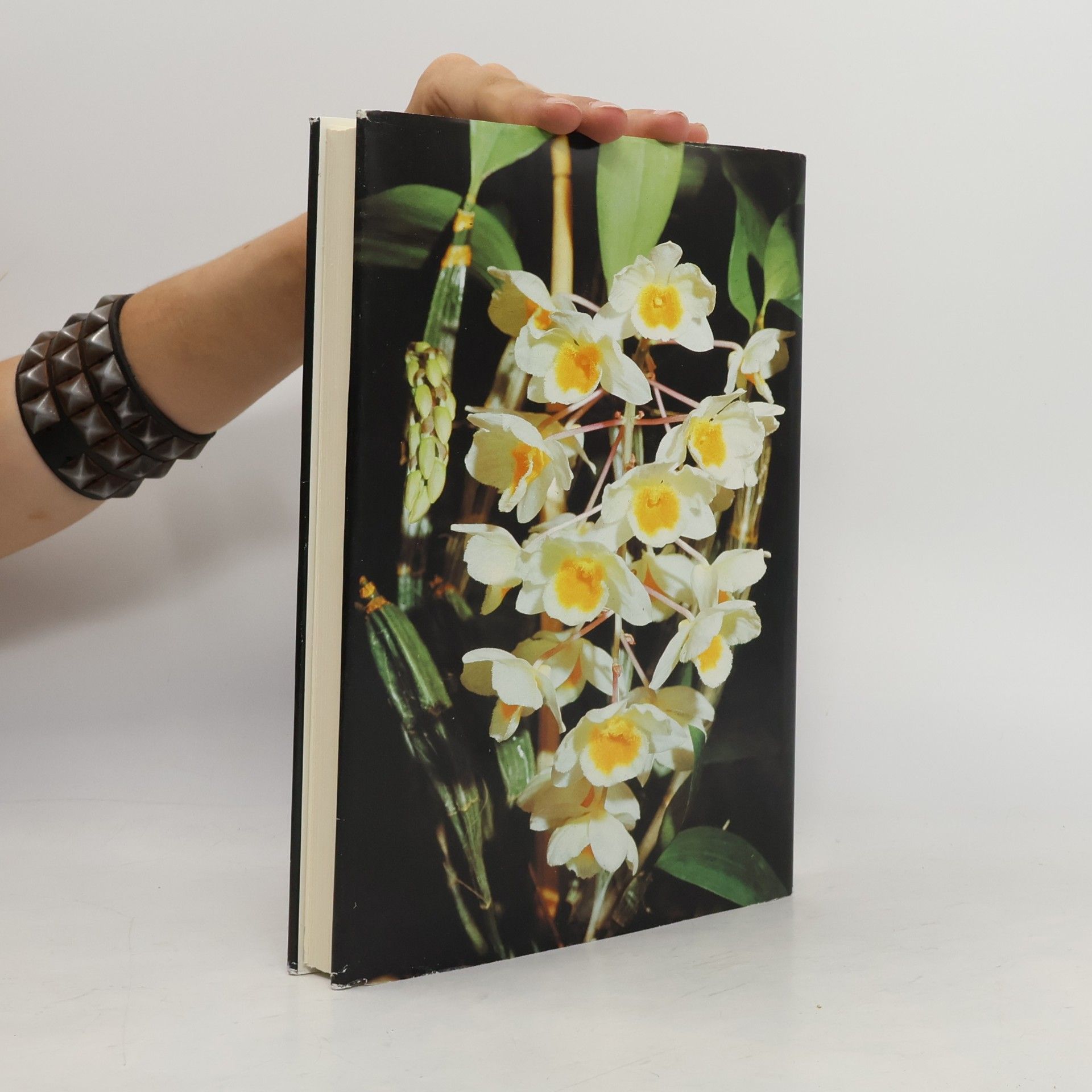 Walter Richter Orchideen : Pflegen, vermehren, züchten
