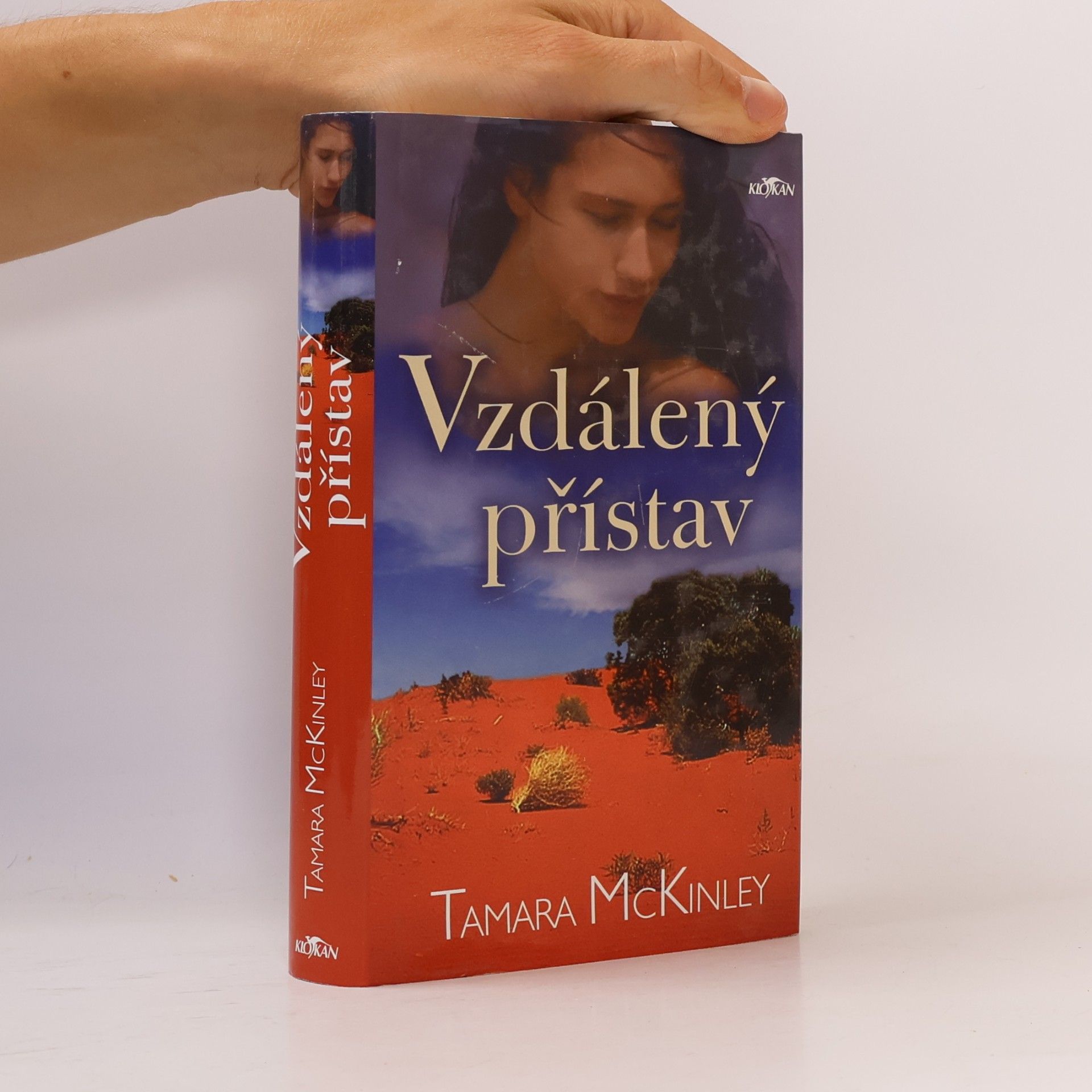 Tamara McKinley Vzdálený přístav