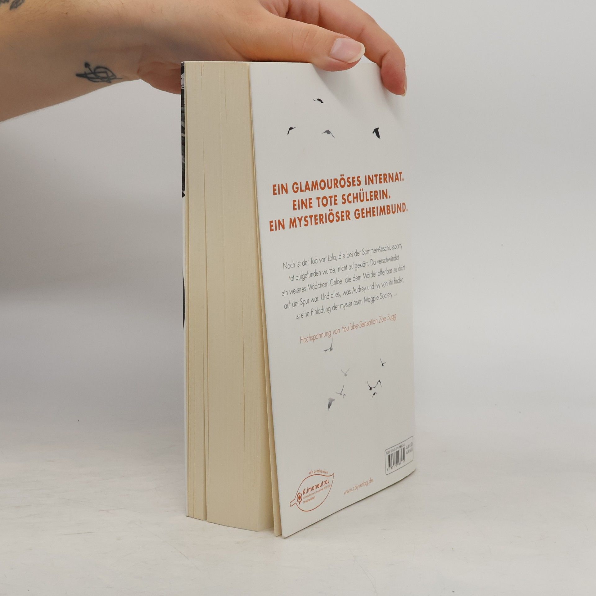 Amy McCulloch The Magpie Society - Aller bösen Dinge sind drei