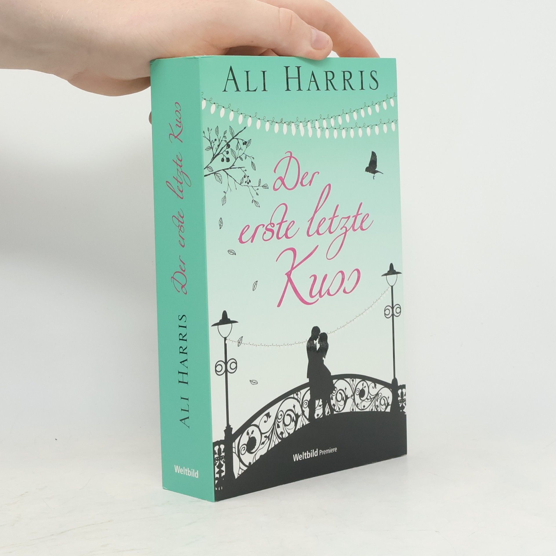 Ali Harris Der erste letzte Kuss