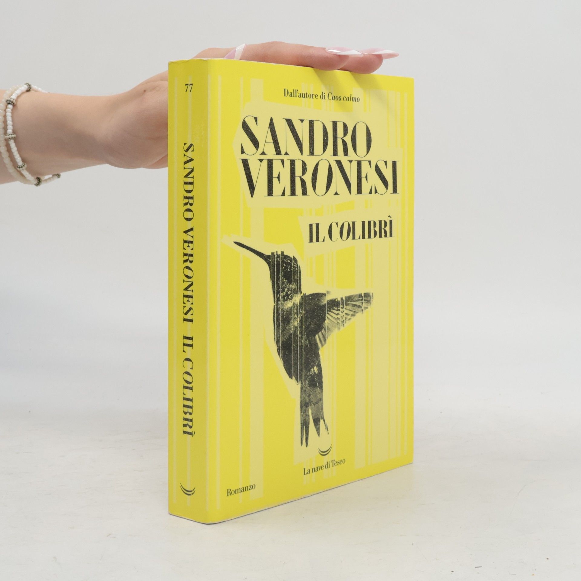 Sandro Veronesi Il colibrì