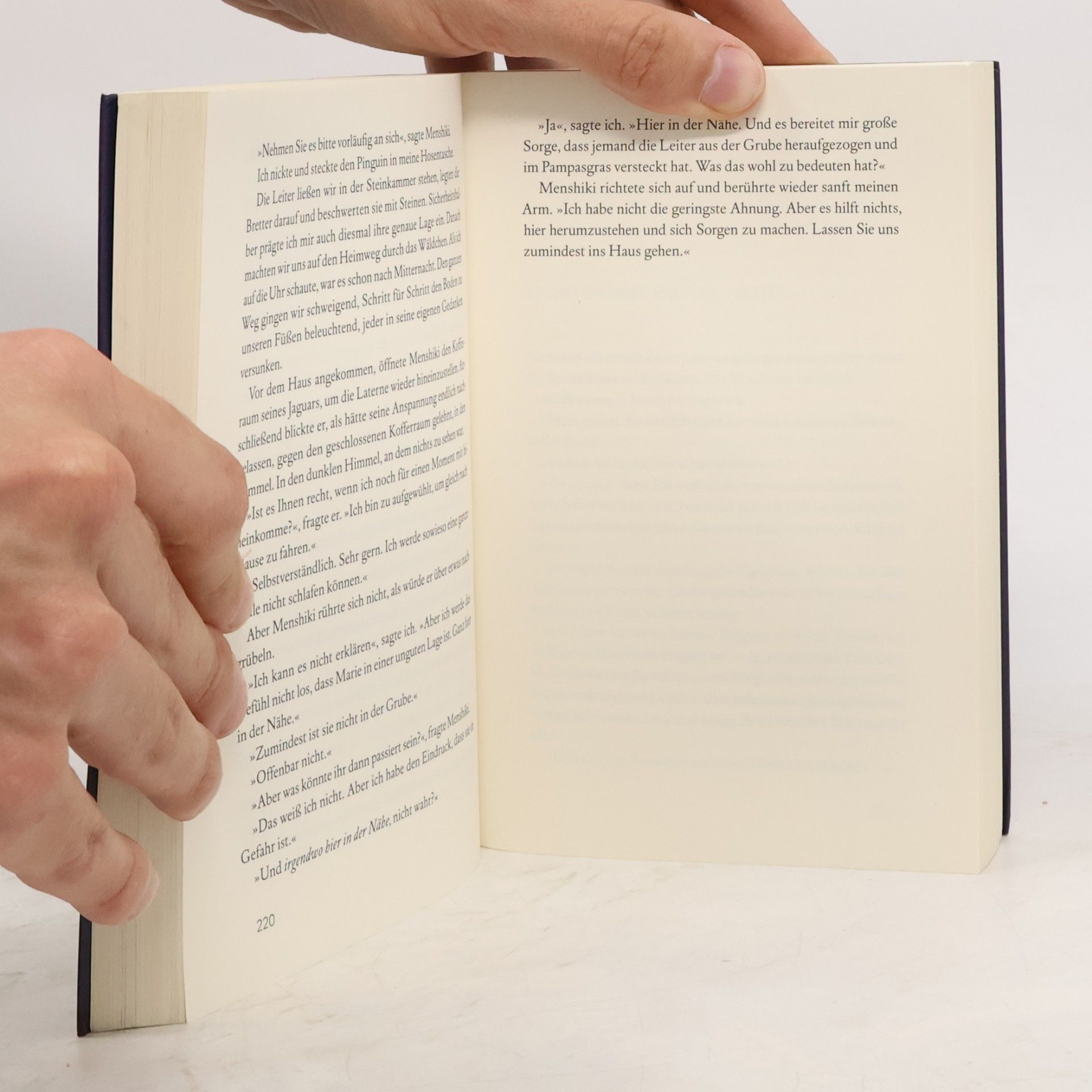 Haruki Murakami Die Ermordung des Commendatore II