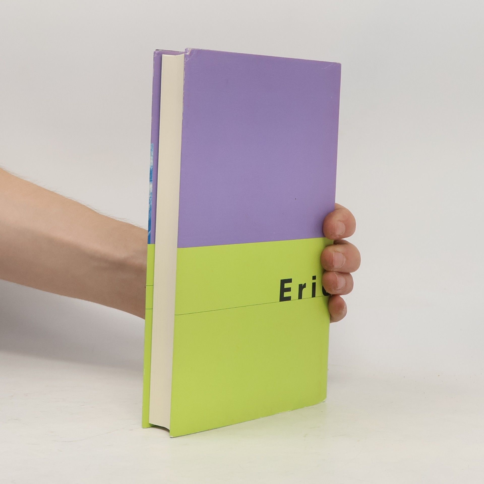 Erich Fromm Haben oder Sein