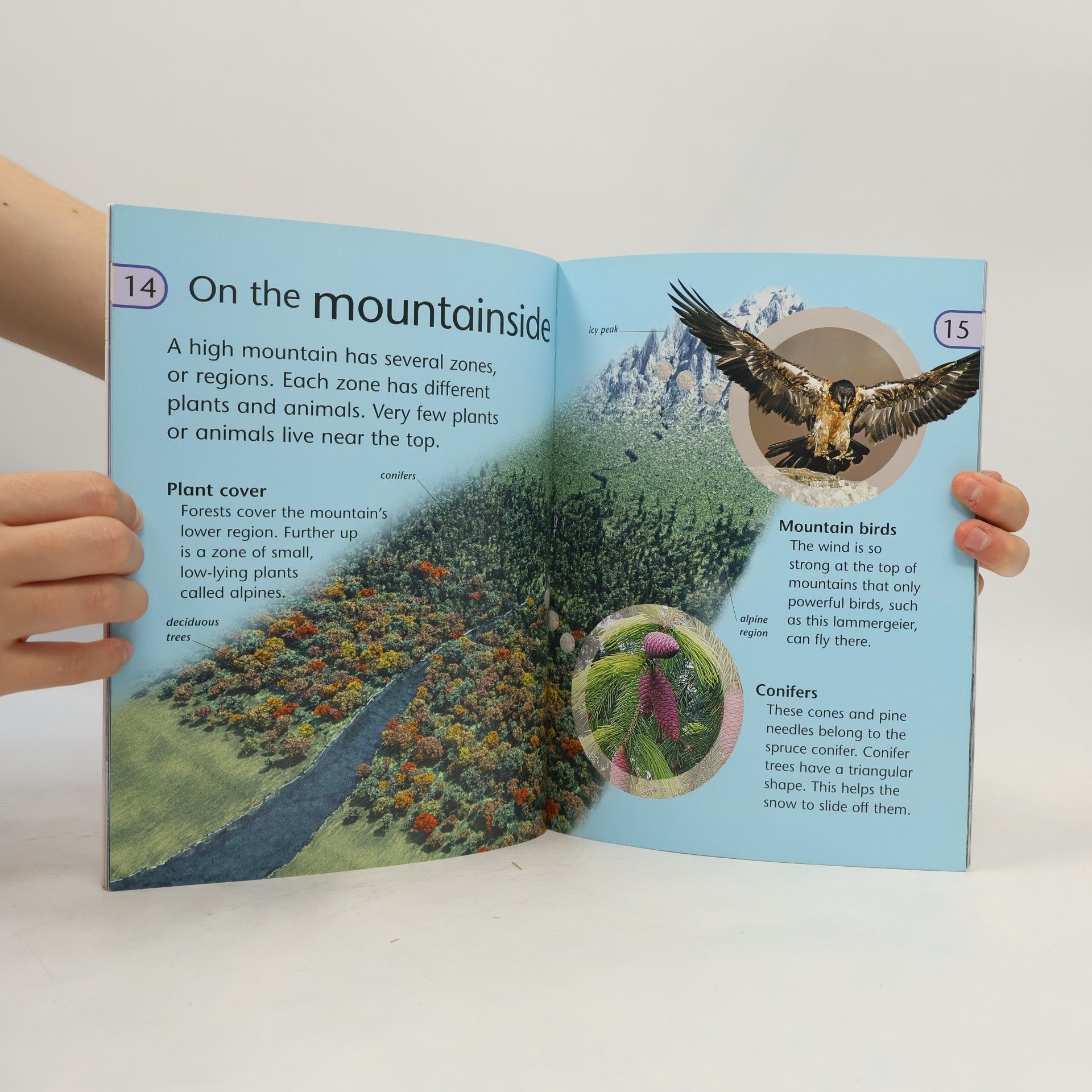 Margaret Hynes Discover Science: Mountains