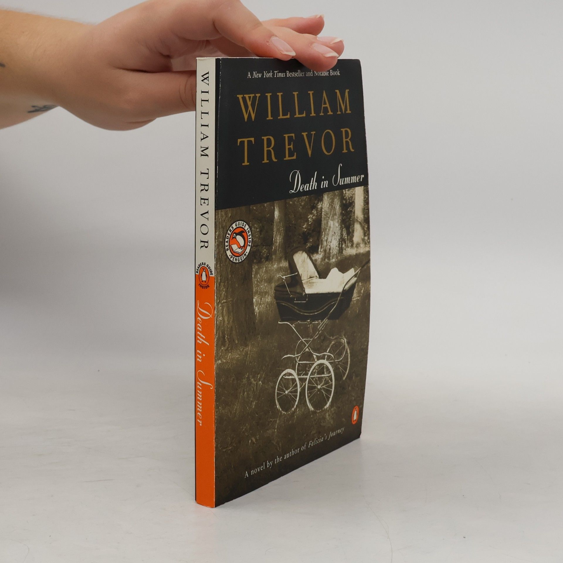 William Trevor Death in Summer