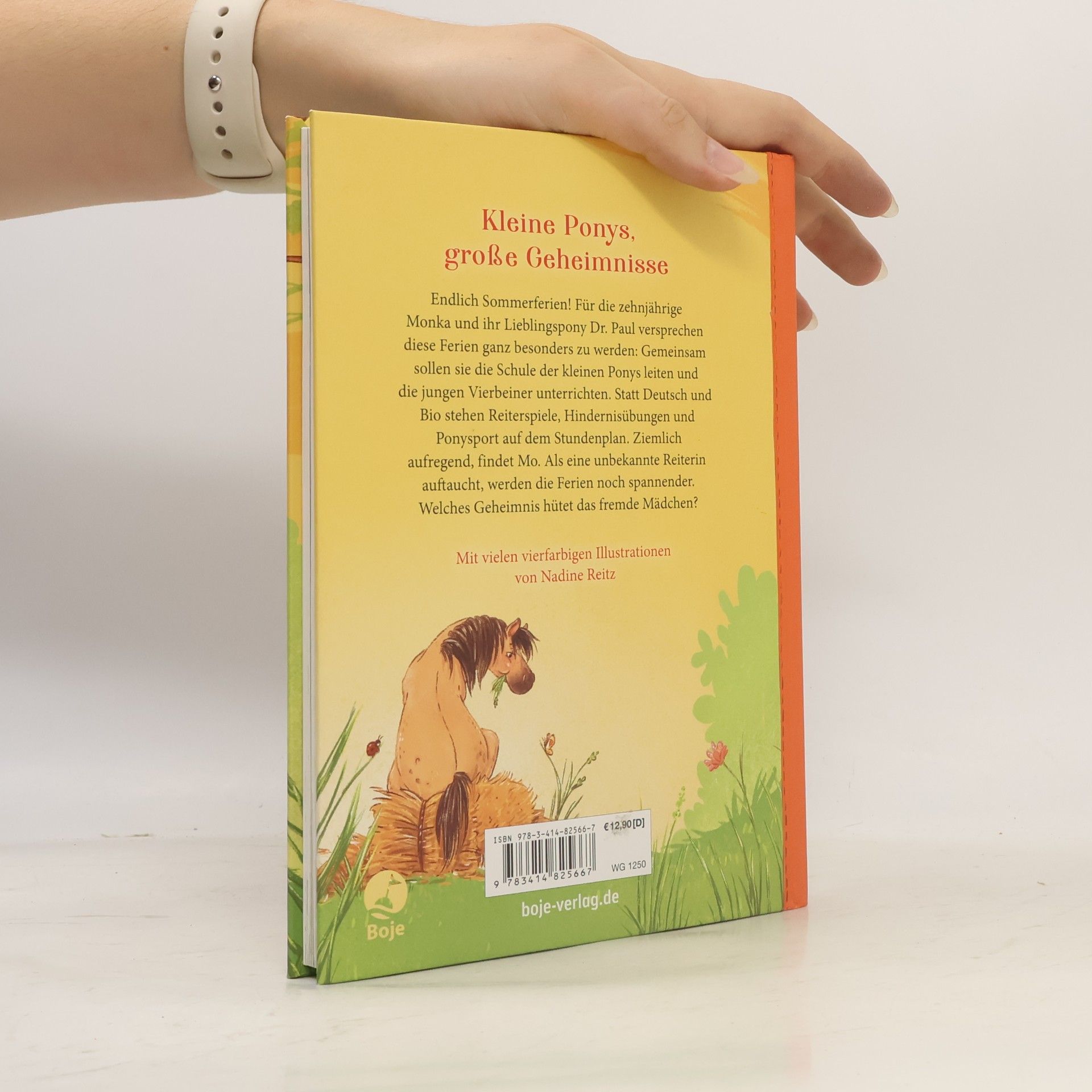 Anne Wolff Die Schule der kleinen Ponys