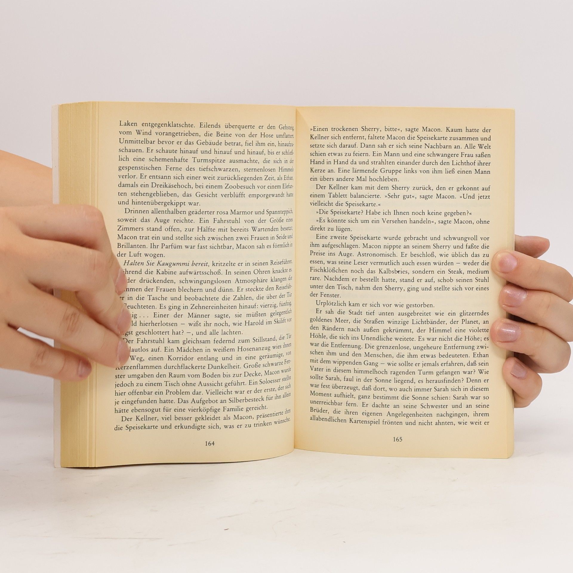 Anne Tyler Die Reisen des Mr. Leary