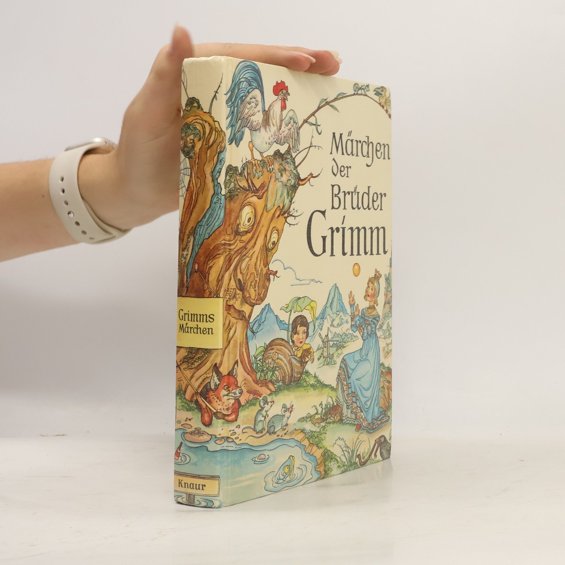 Jacob Ludwig Karl Grimm Märchen der Brüder Grimm
