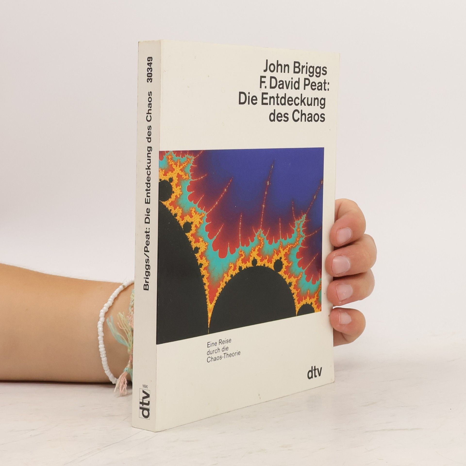 John P. Briggs Die Entdeckung des Chaos