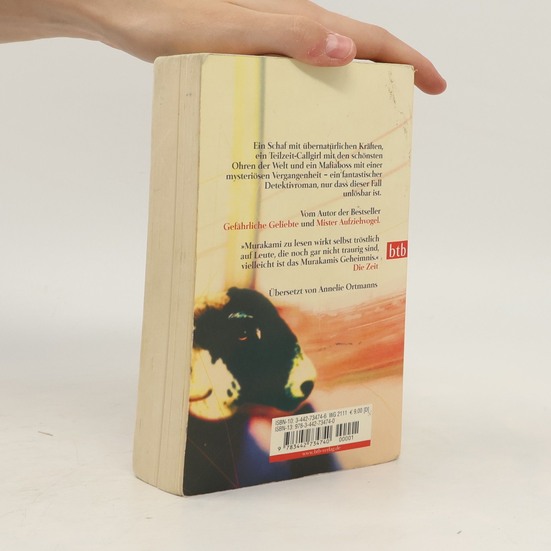 Haruki Murakami Wilde Schafsjagd