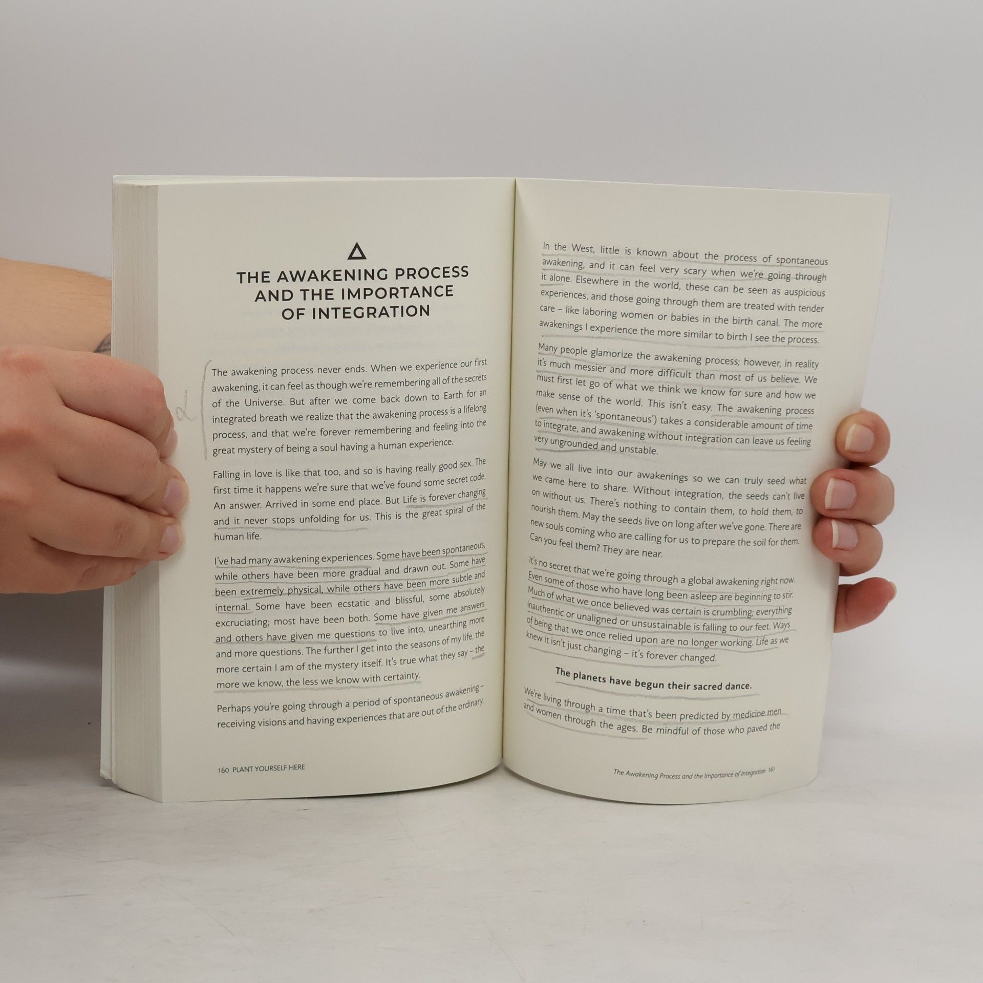 Rebecca Campbell Letters to a Starseed