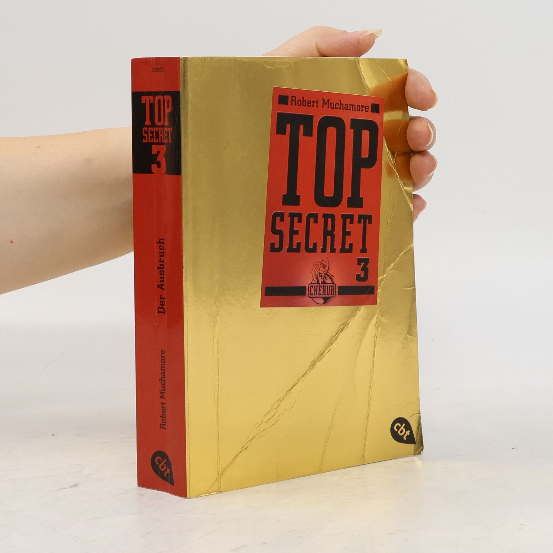 Top Secret 03. Der Ausbruch