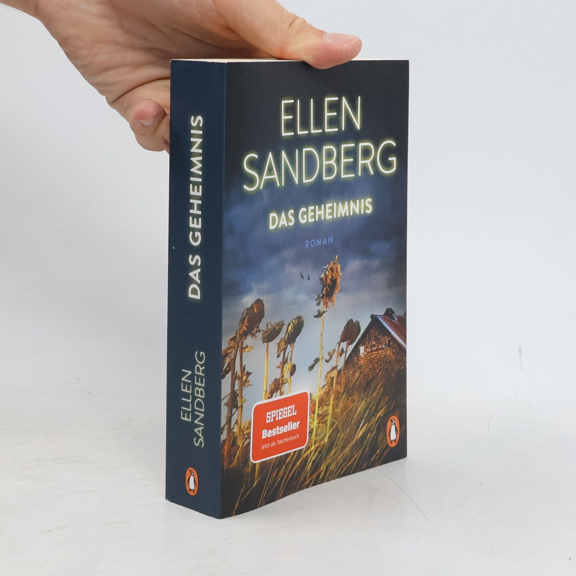 Ellen Sandberg Das Geheimnis