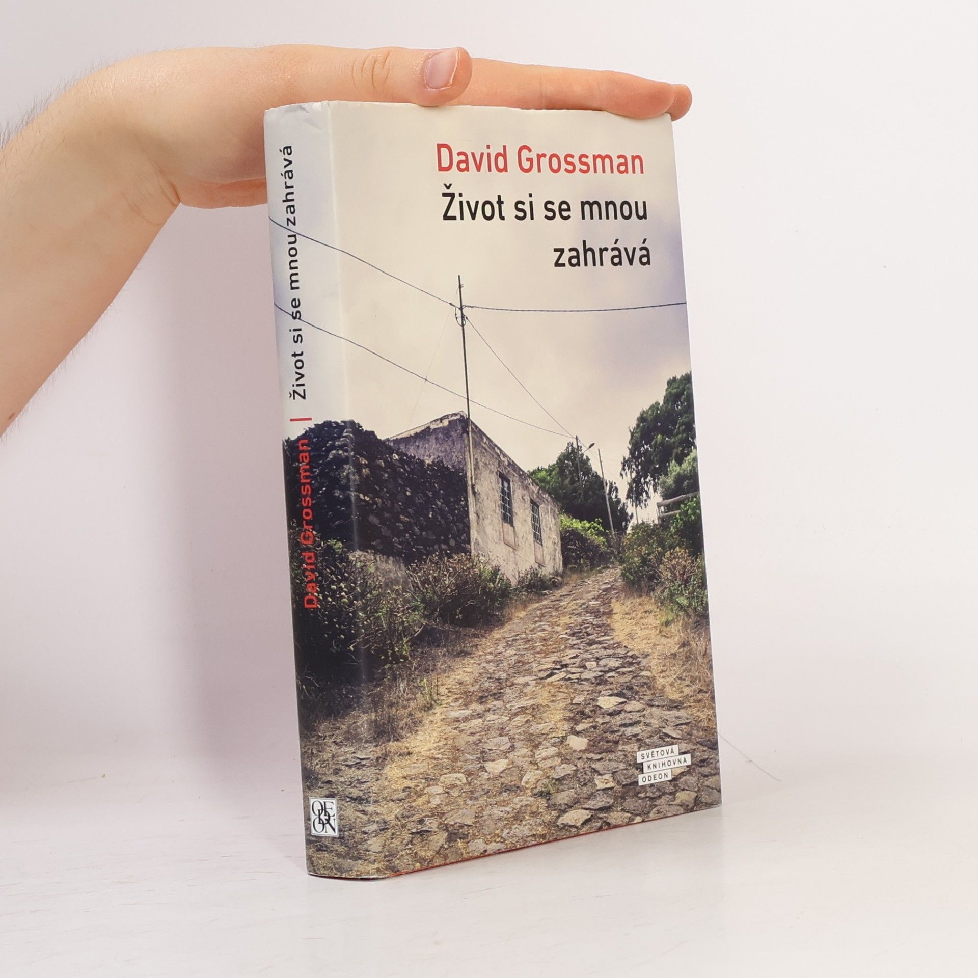 David Grossman Život si se mnou zahrává