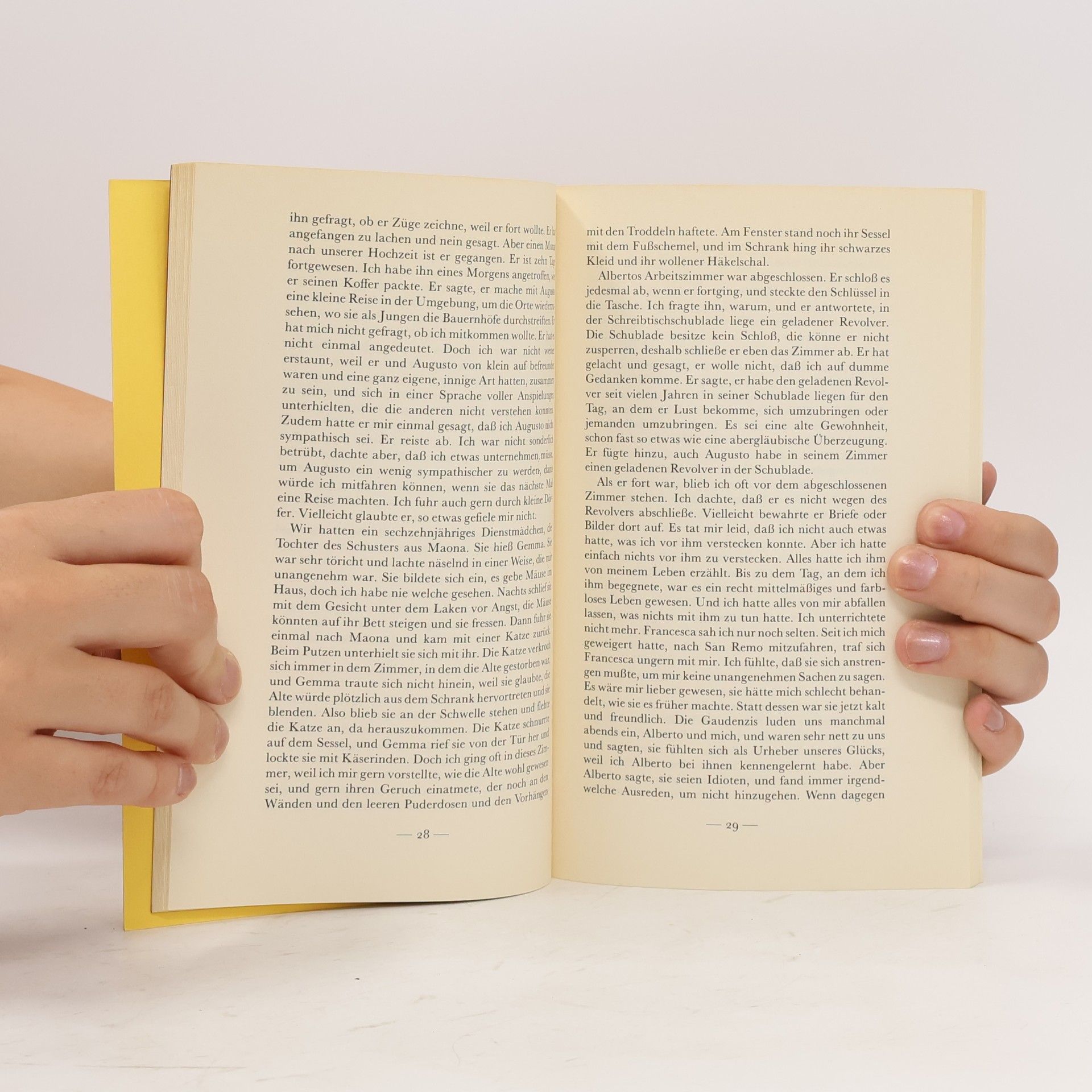 Natalia Ginzburg So ist es gewesen