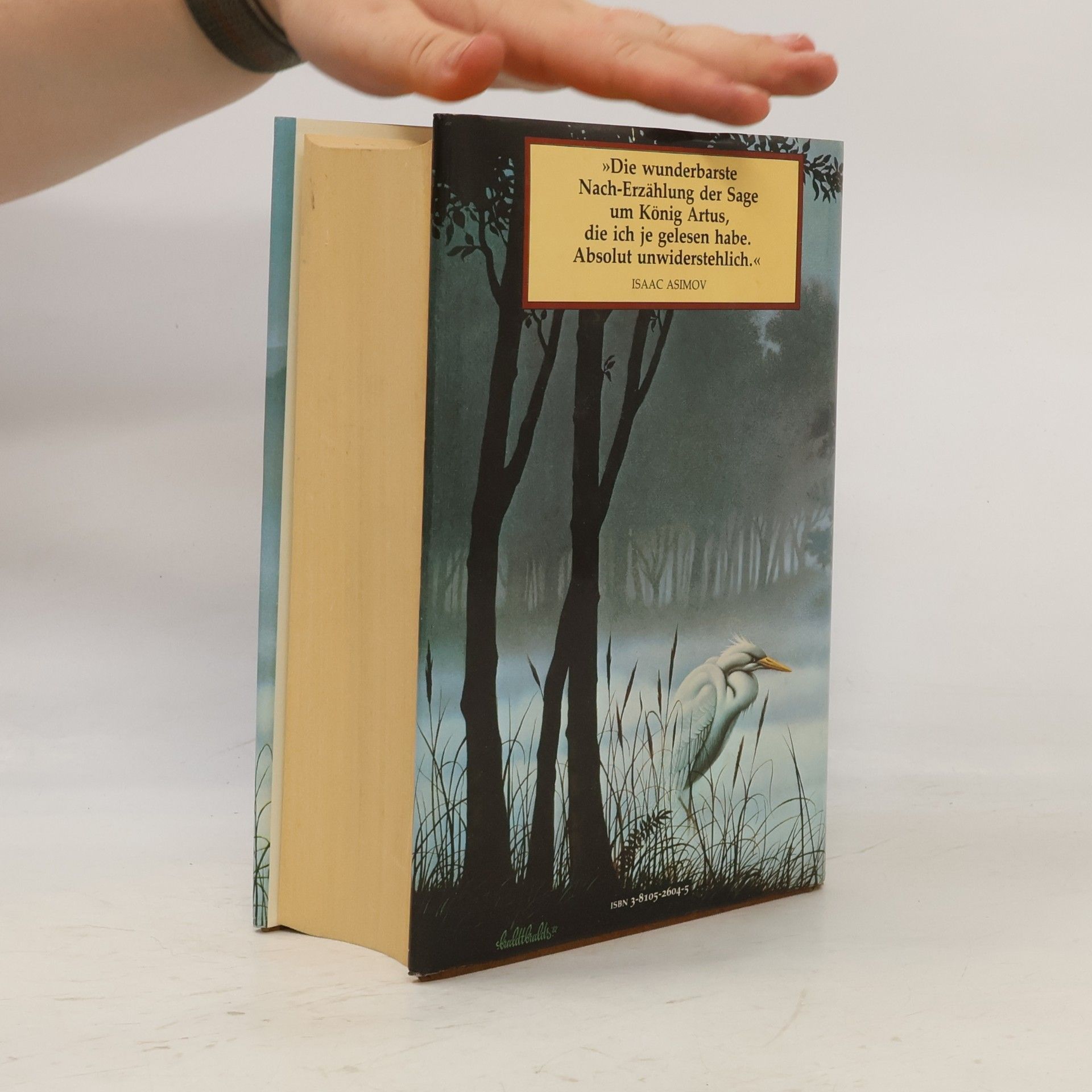 Marion Zimmer Bradley Die Nebel von Avalon