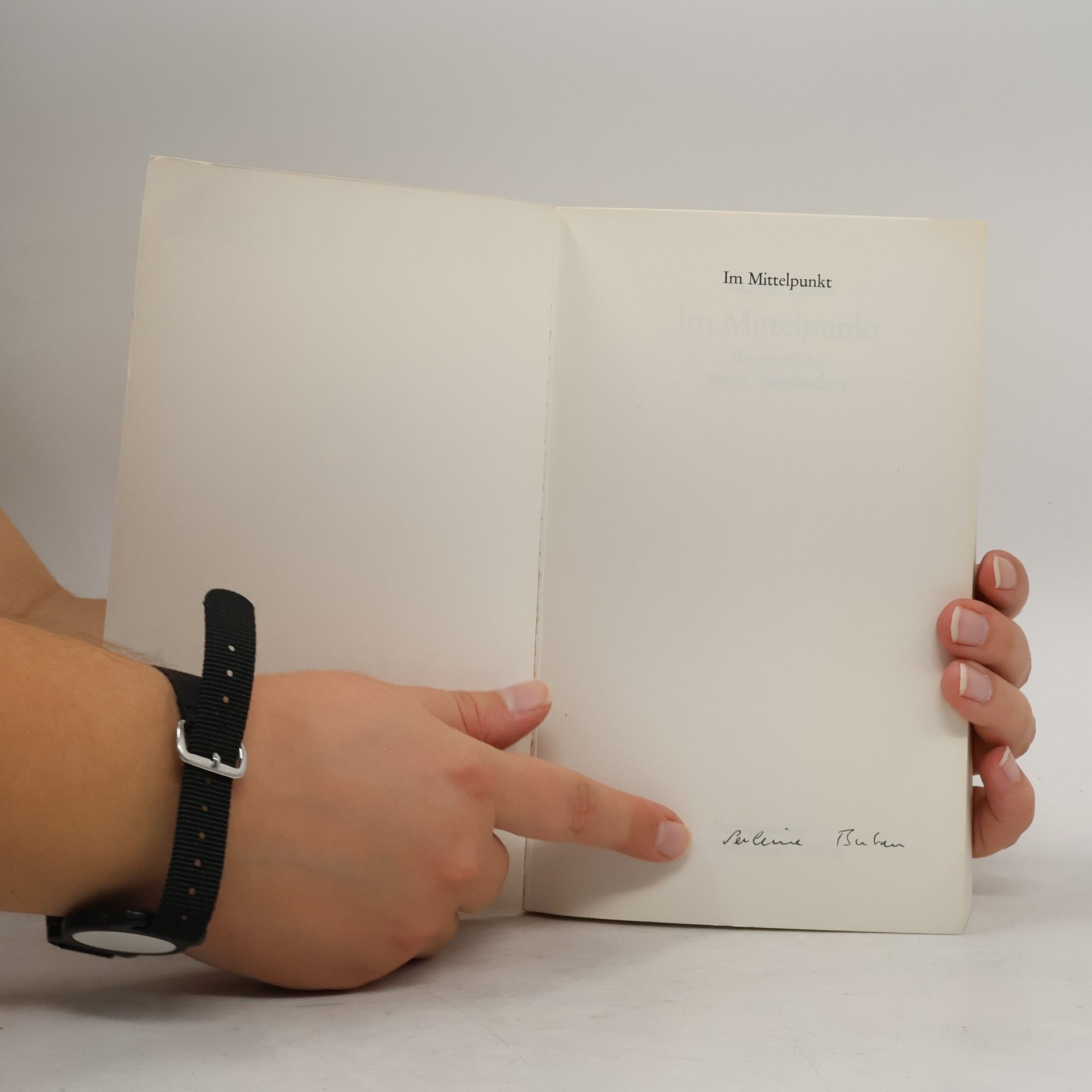 Mircea Eliade Im Mittelpunkt
