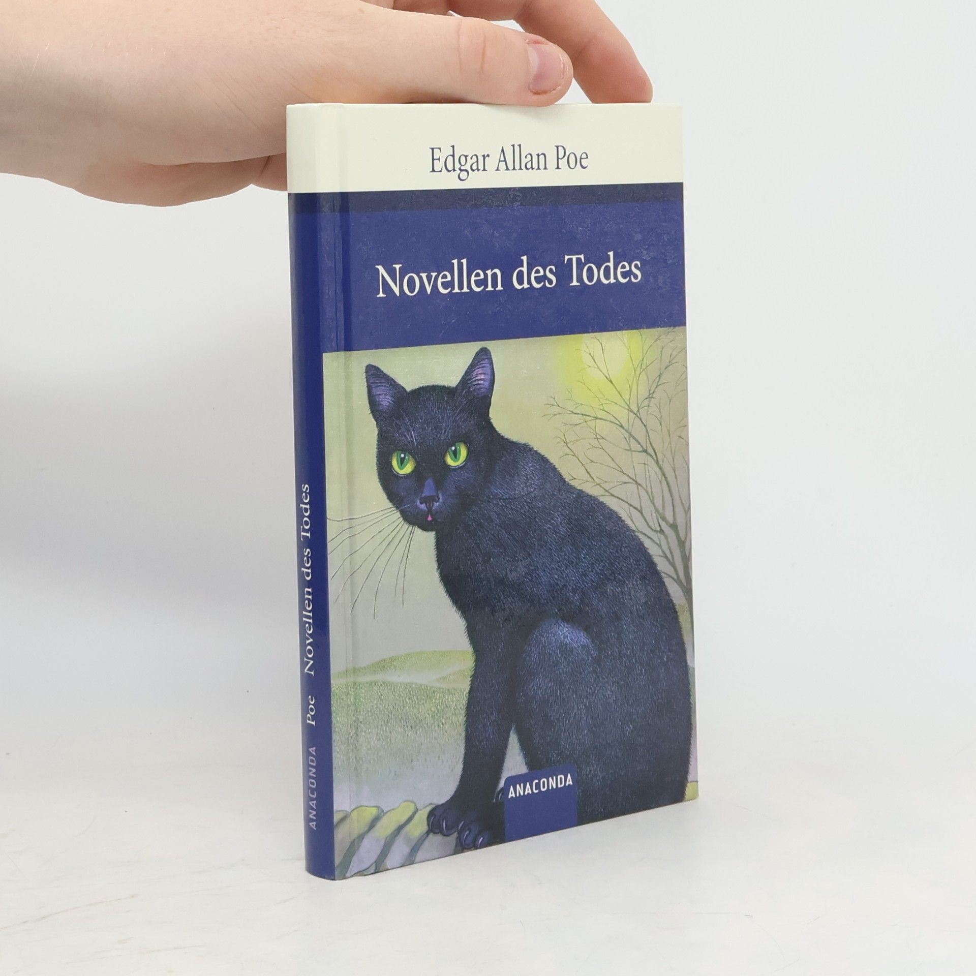 Edgar Allan Poe Novellen des Todes