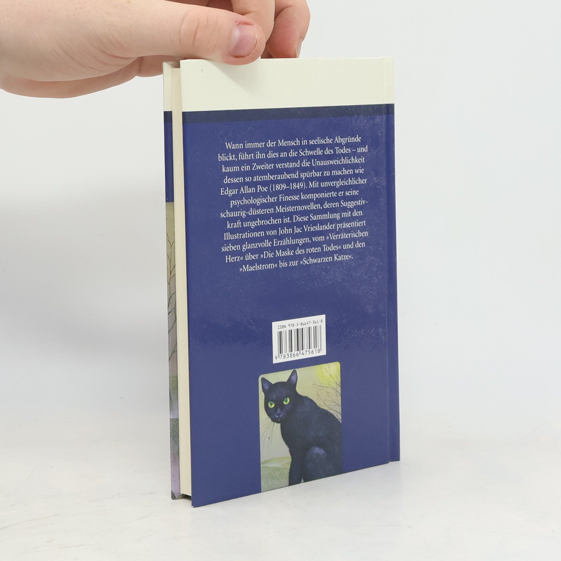 Edgar Allan Poe Novellen des Todes