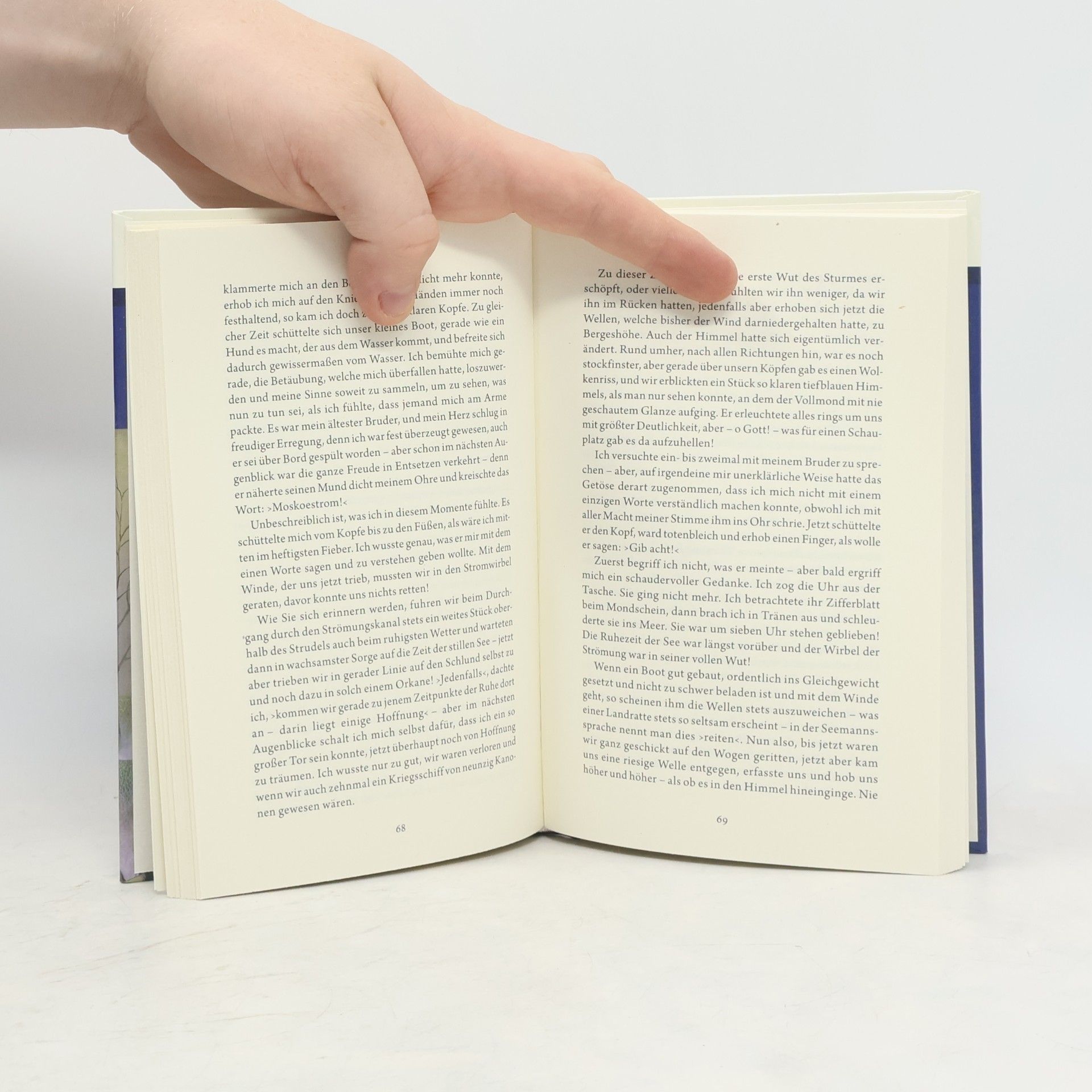 Edgar Allan Poe Novellen des Todes